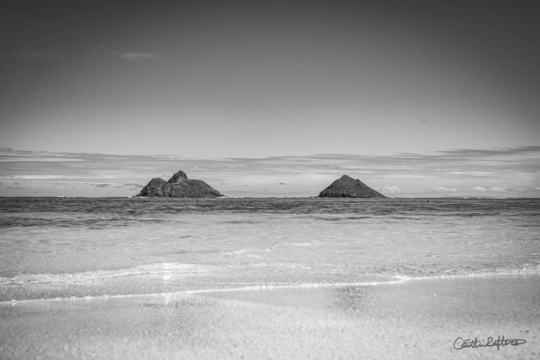 DSC02710 copy_BW.jpg