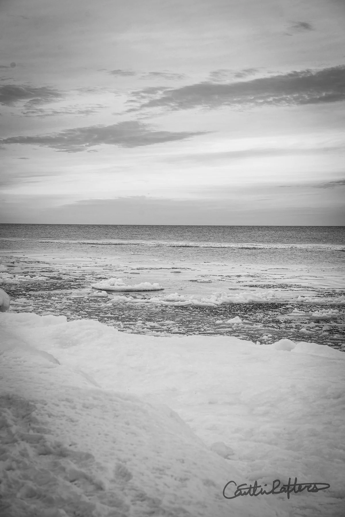 DSC00288 copy_BW.jpg