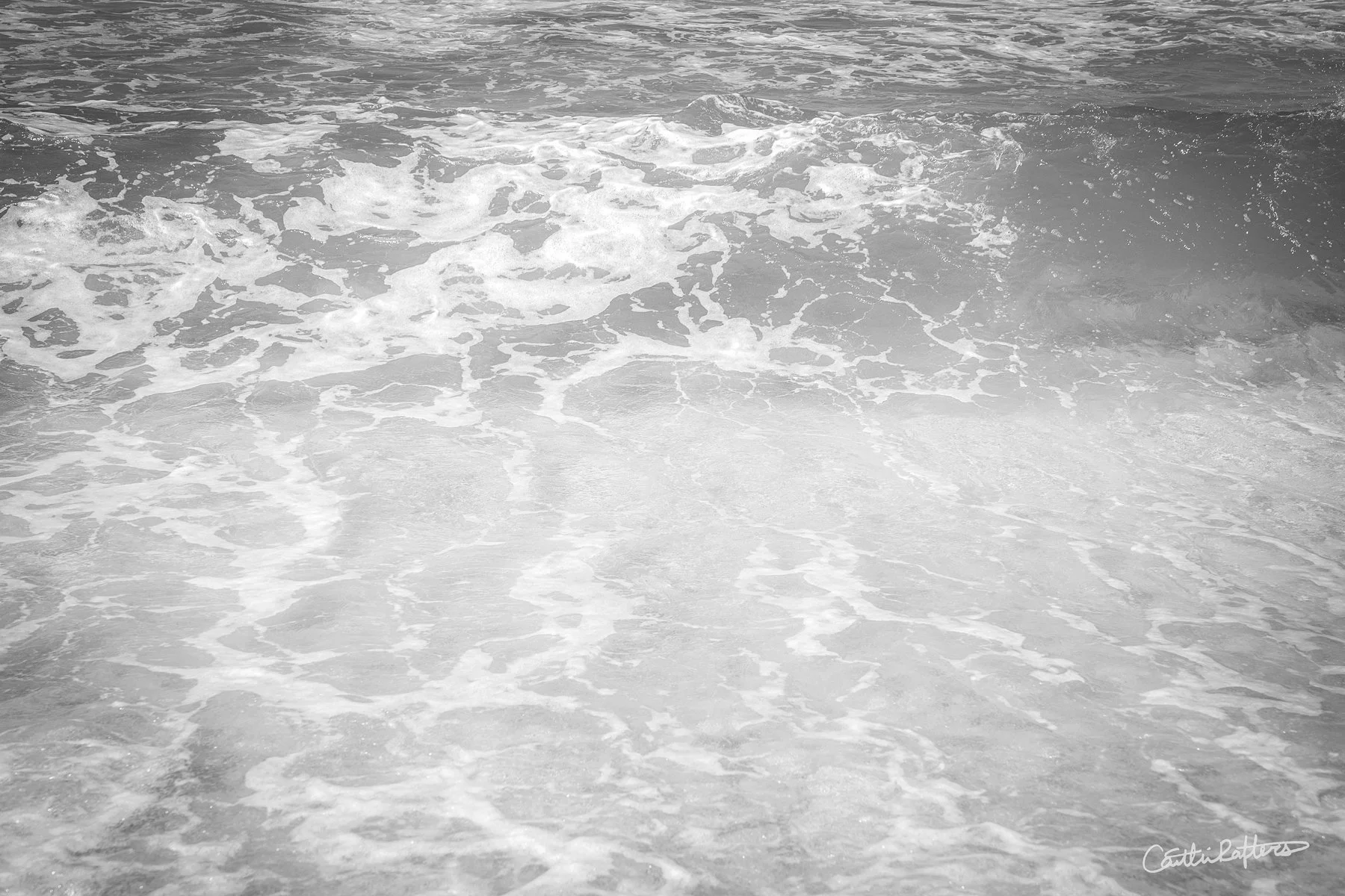 Tidal Harmony_BW.jpg