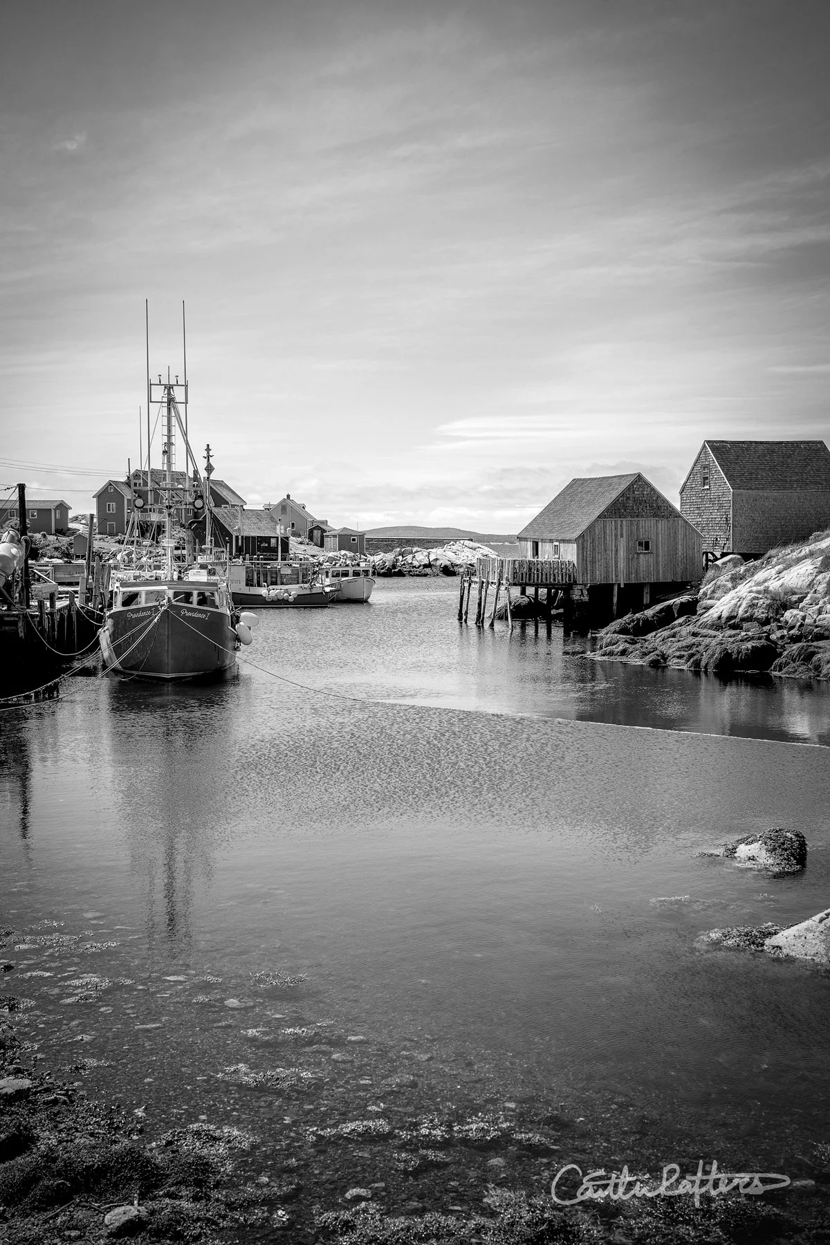 DSC03948 copy_BW.jpg