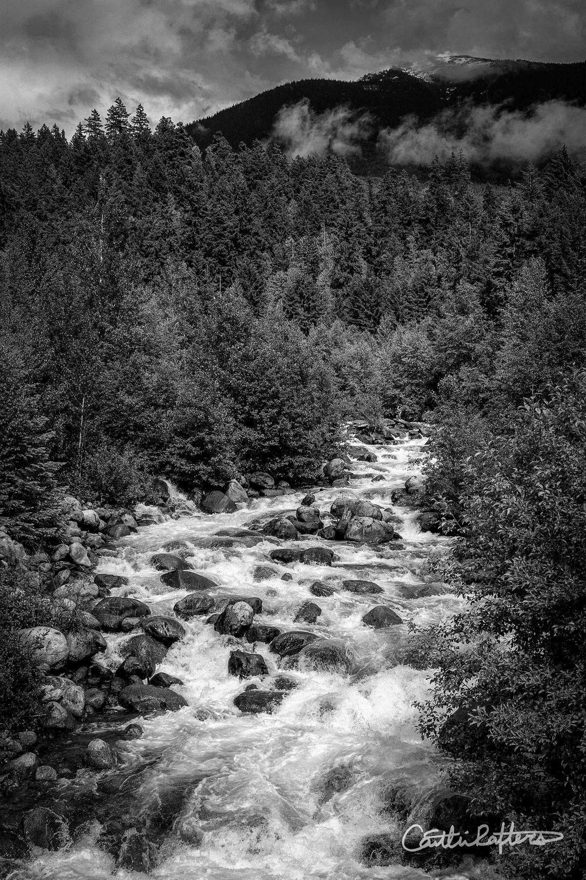 Path to the Unknown_BW.jpg