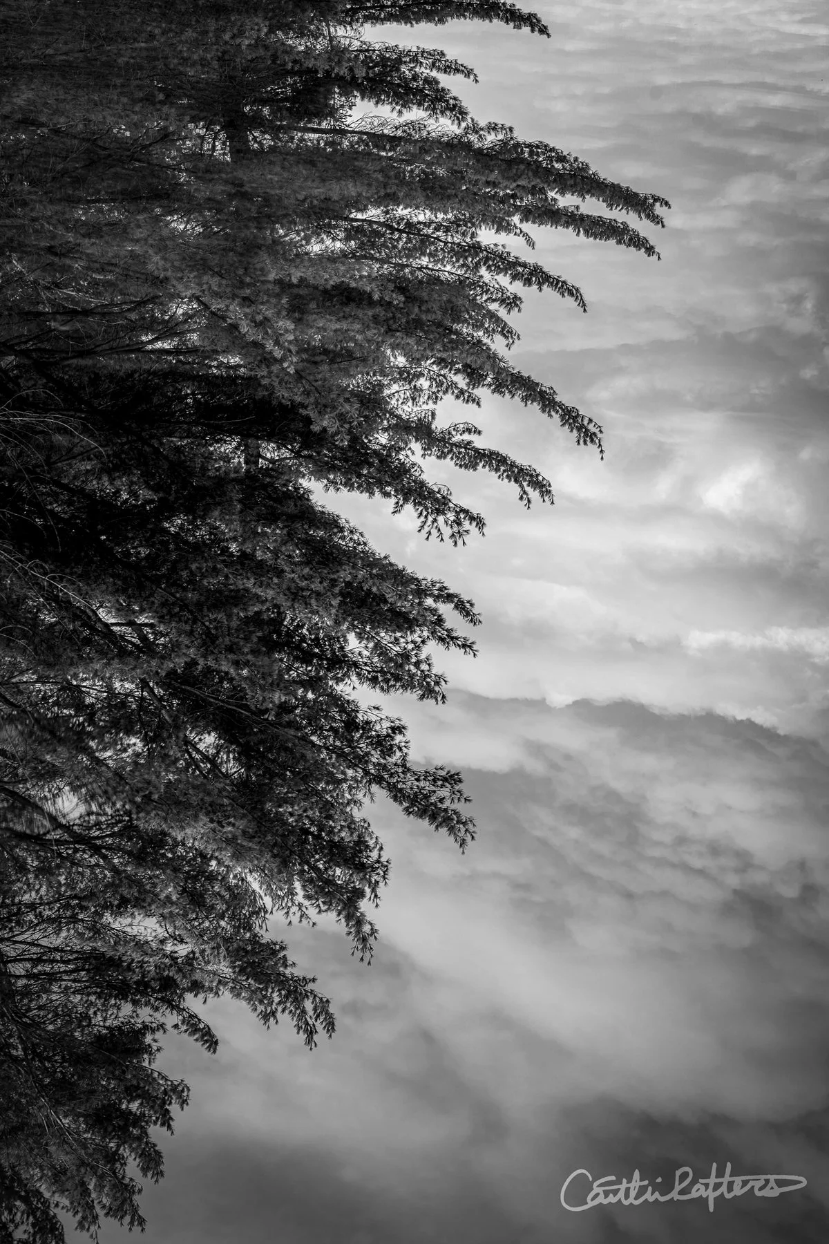 DSC02215 copy_BW.jpg