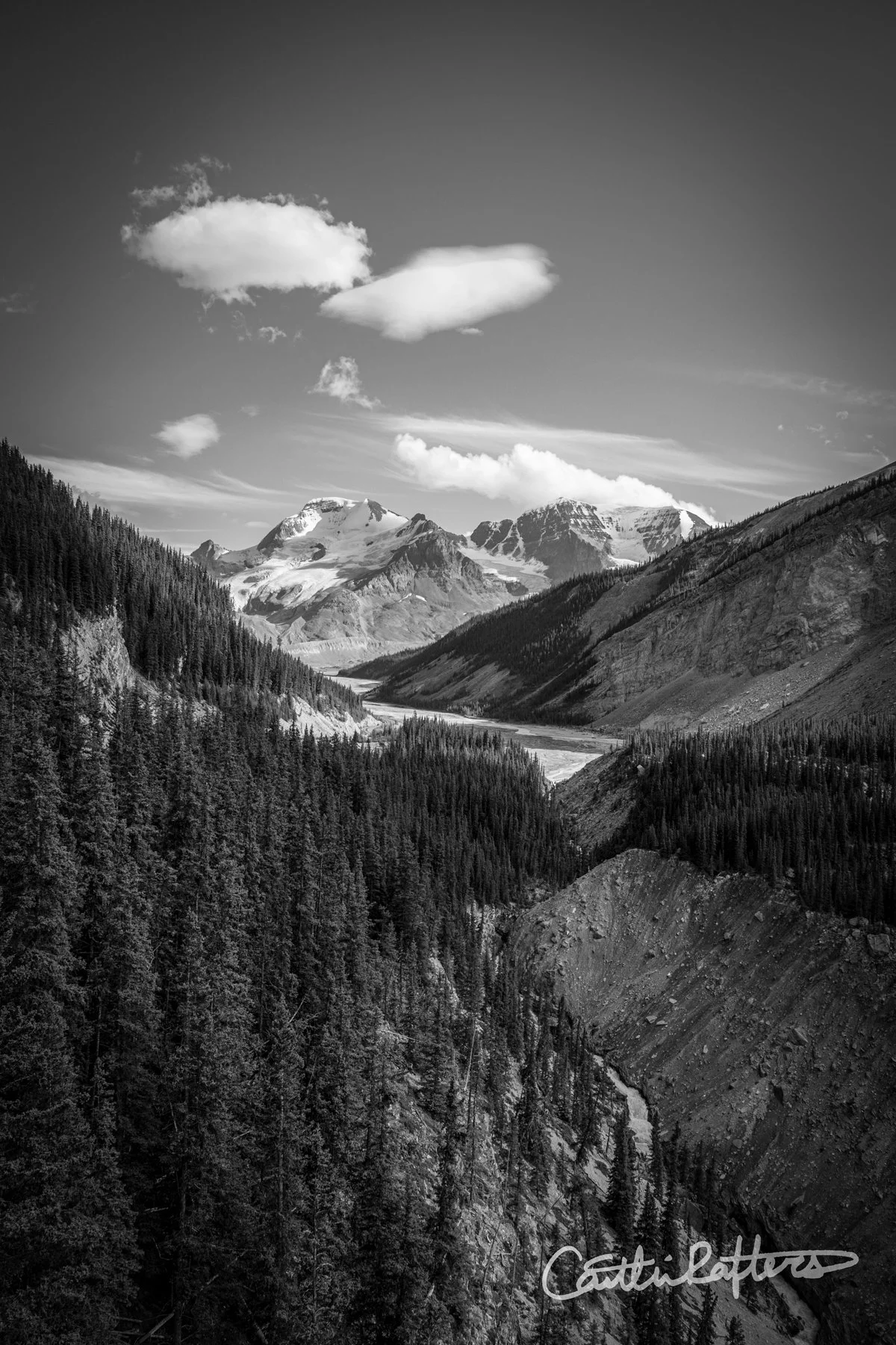 DSC00822 copy_BW.jpg