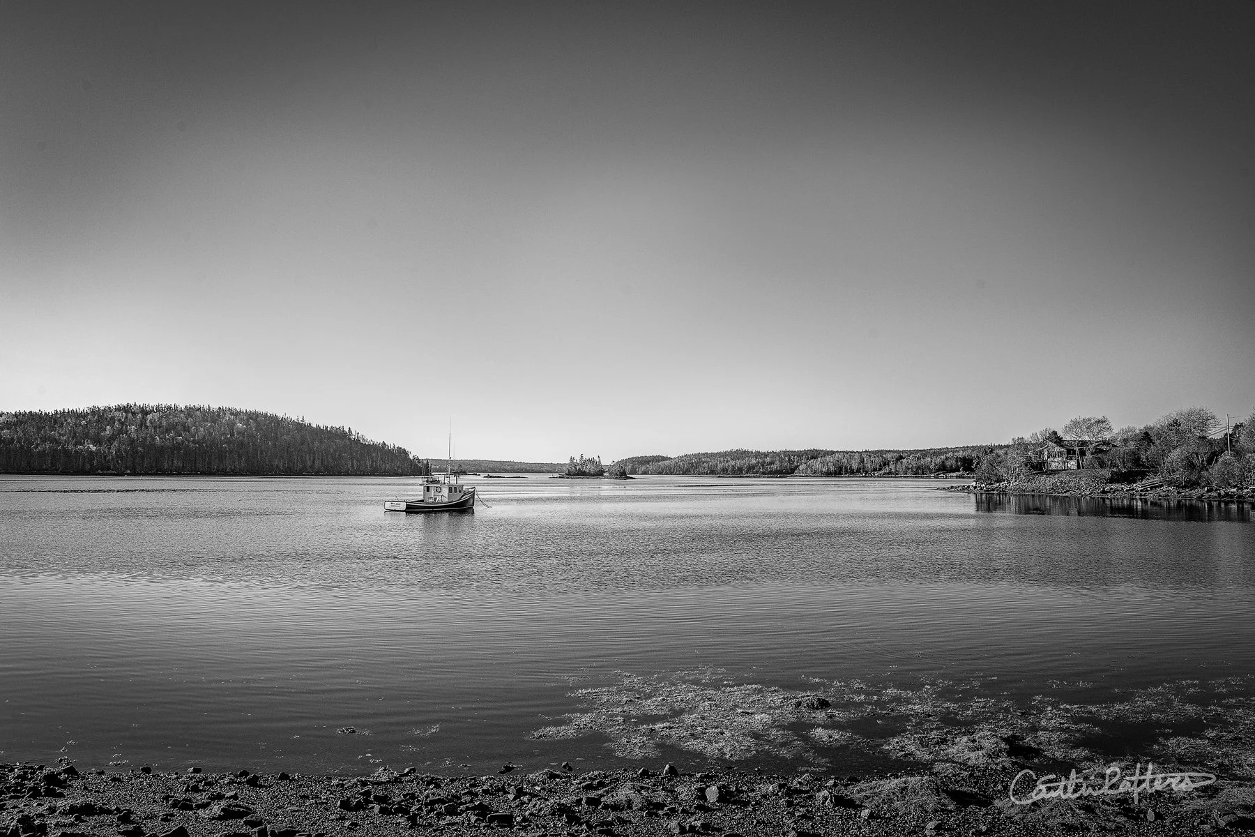 DSC04438 copy_BW.jpg