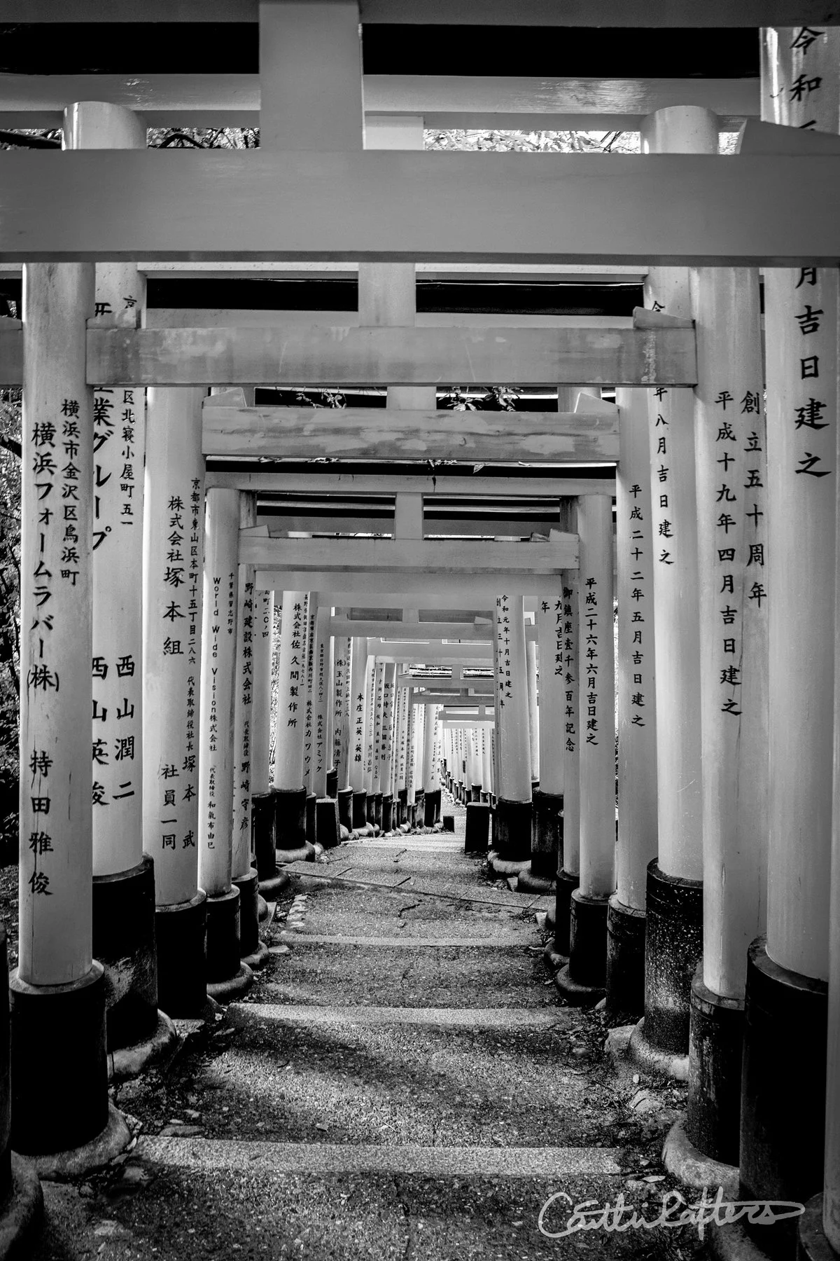 Patterns of the Past._BW.jpg