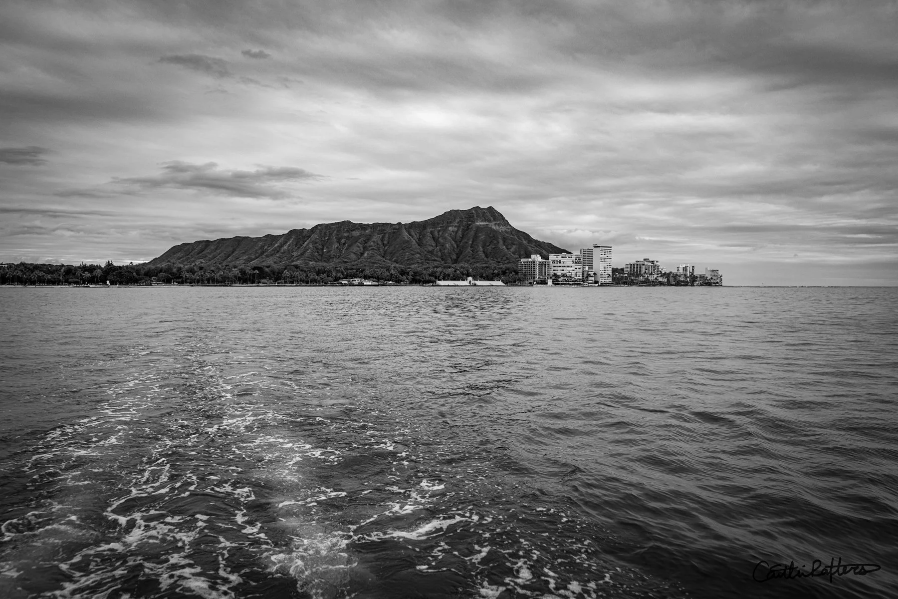 DSC02835 copy_BW.jpg