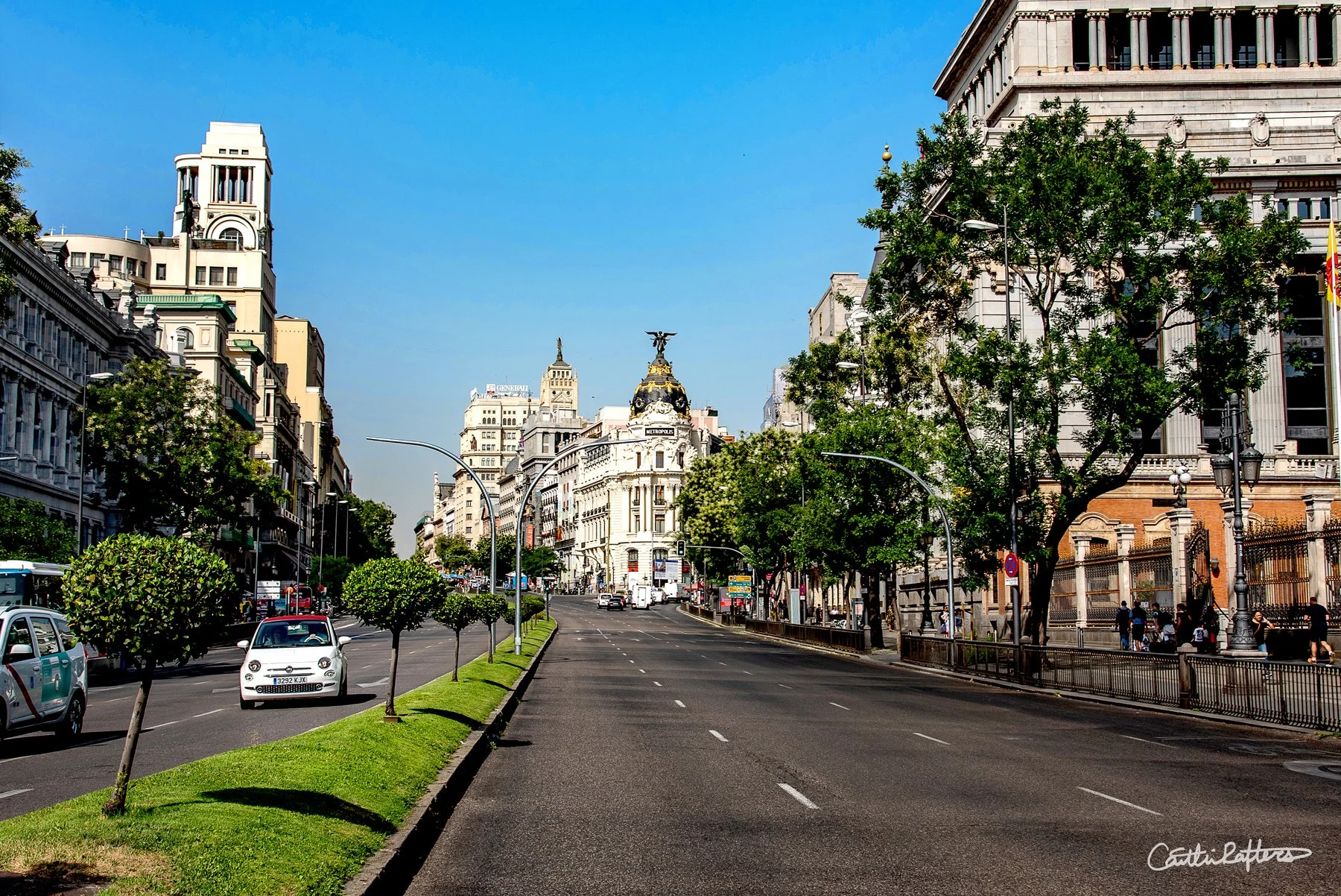 Living in the Left Lane.jpg