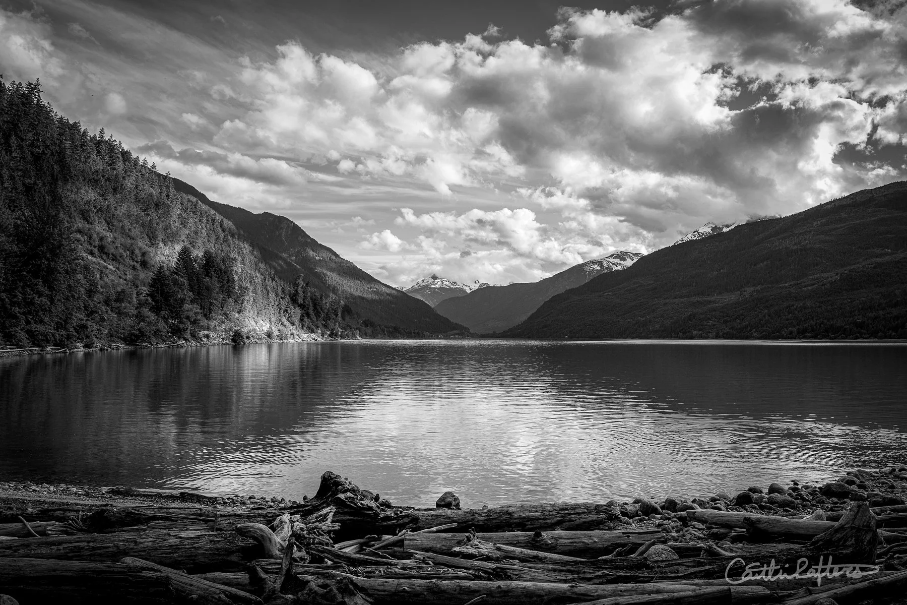 Driftwood Bay_BW.jpg