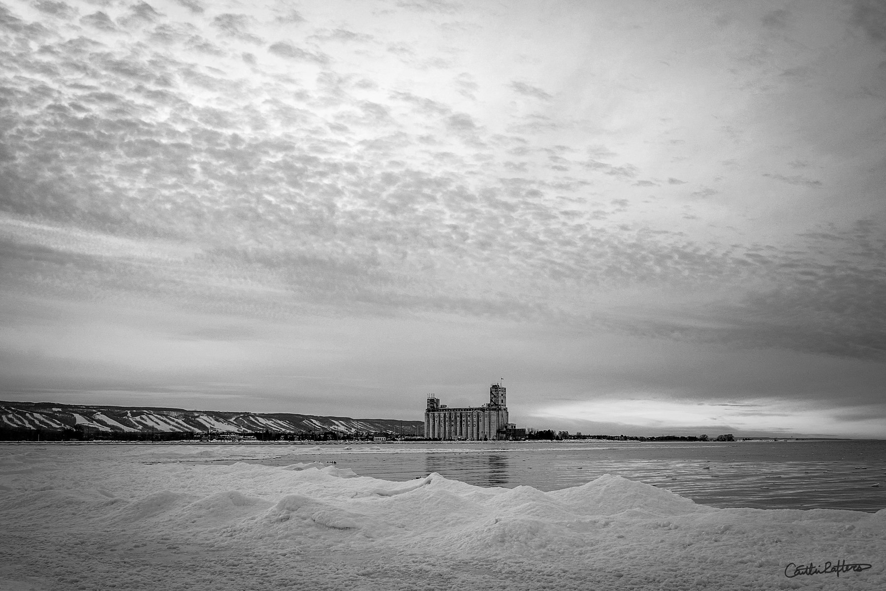 Cotton Candy Collingwood_BW.jpg