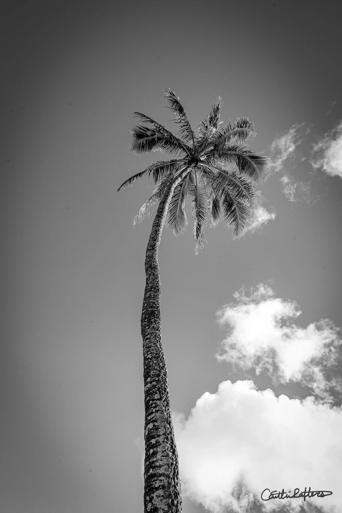 Content Independence_BW.jpg