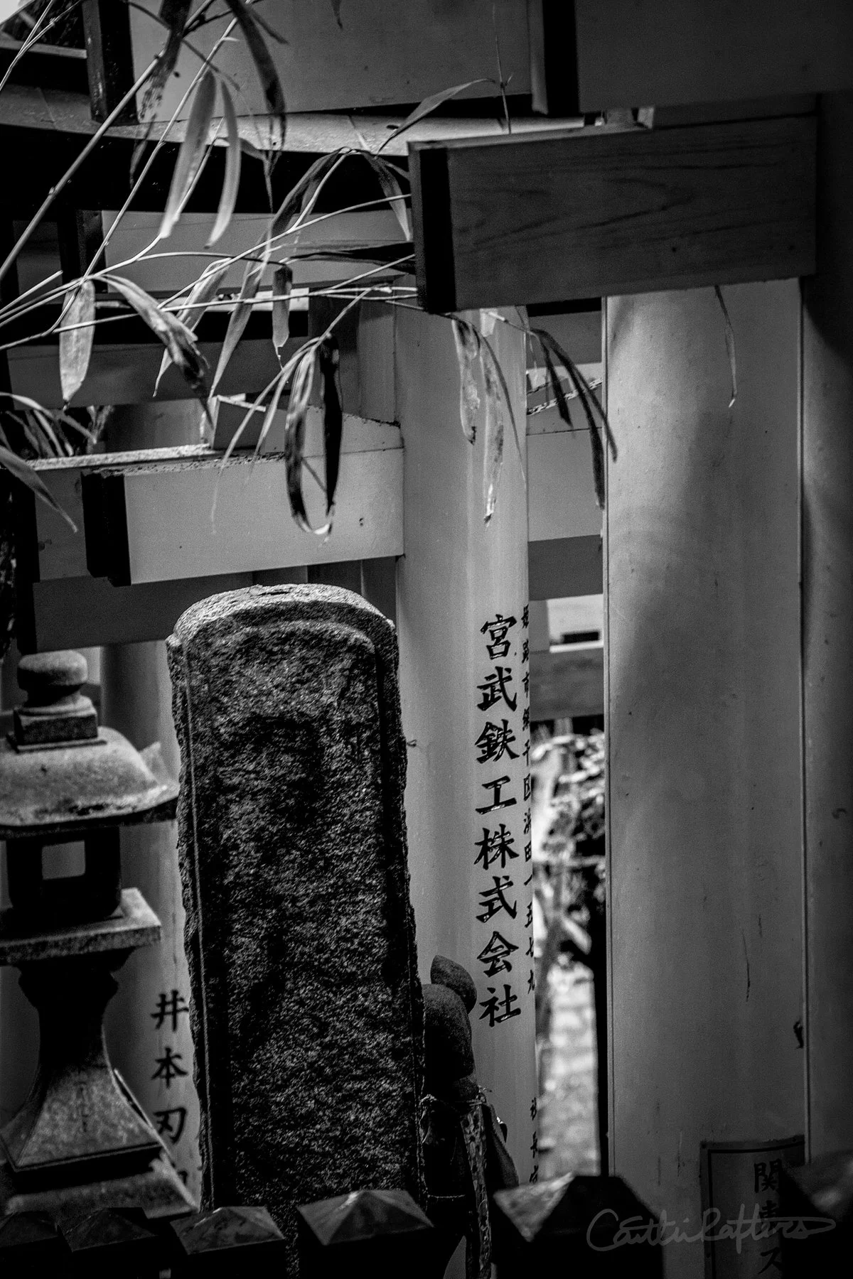 Bamboo Whispers_BW.jpg