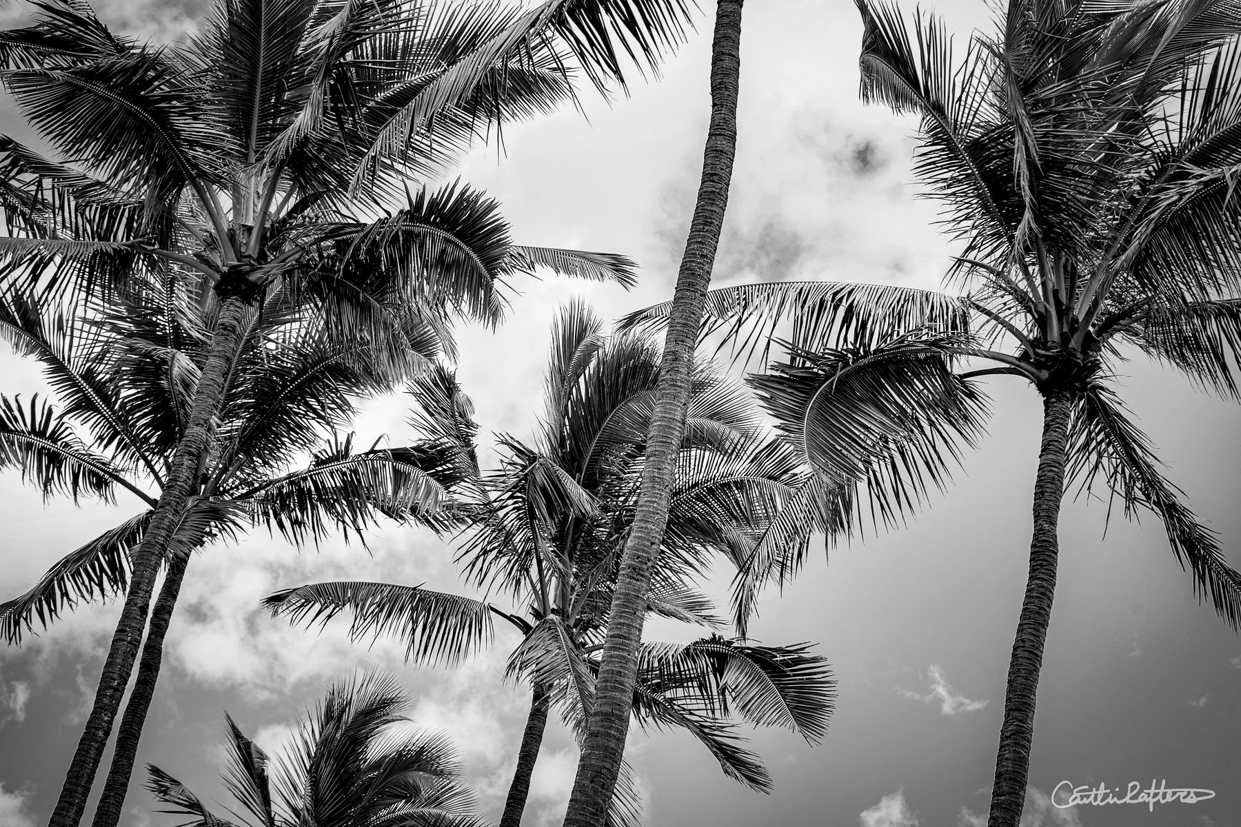 Obsolete Time_BW.jpg