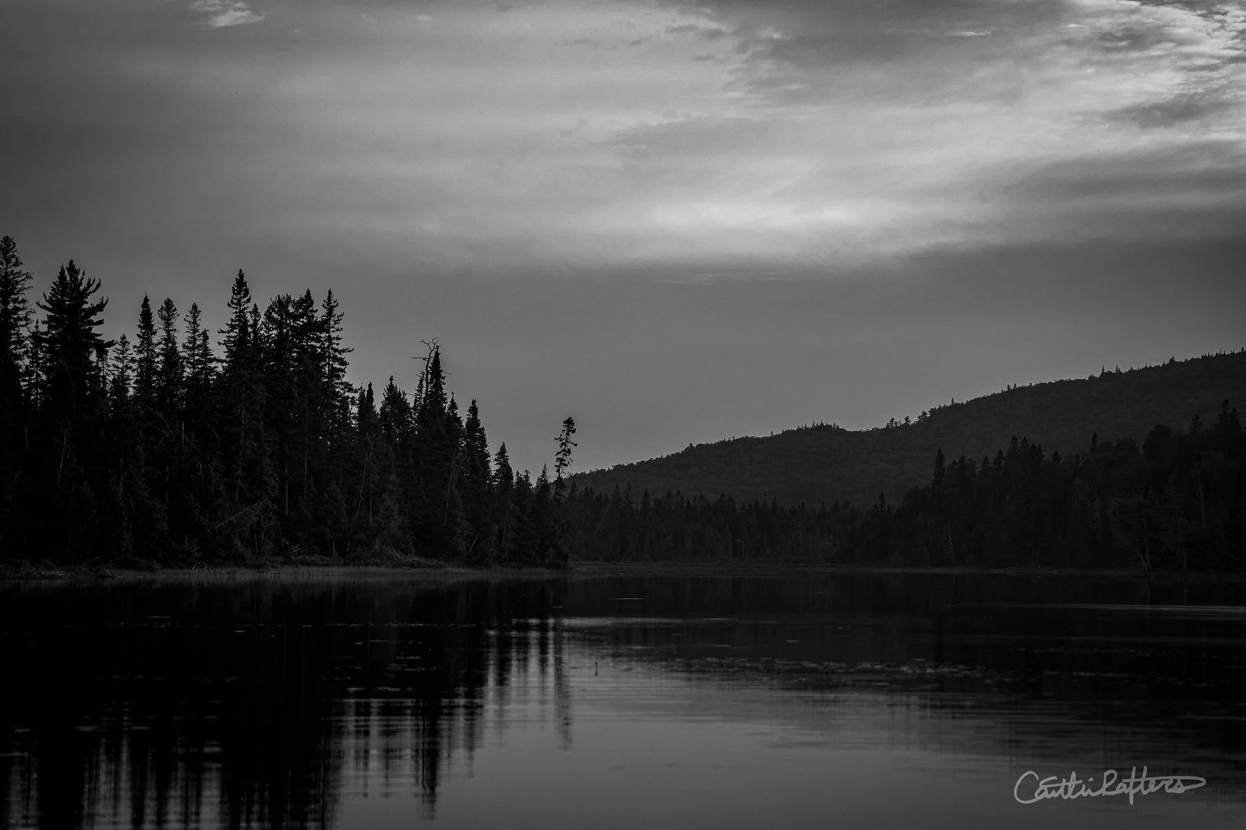 DSC05911 copy_BW.jpg