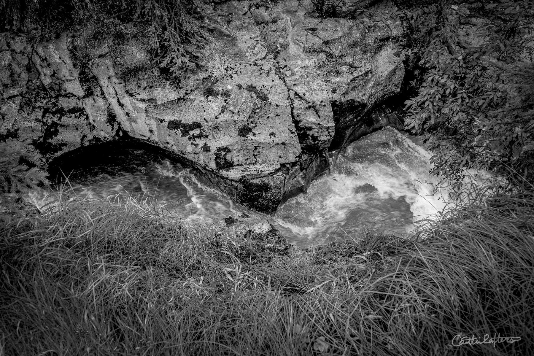 Temporary Guidnece_BW.jpg