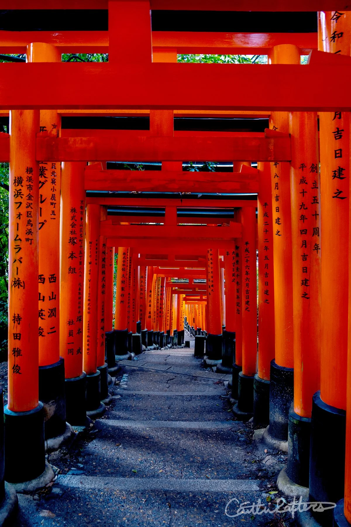 Patterns of the Past..jpg