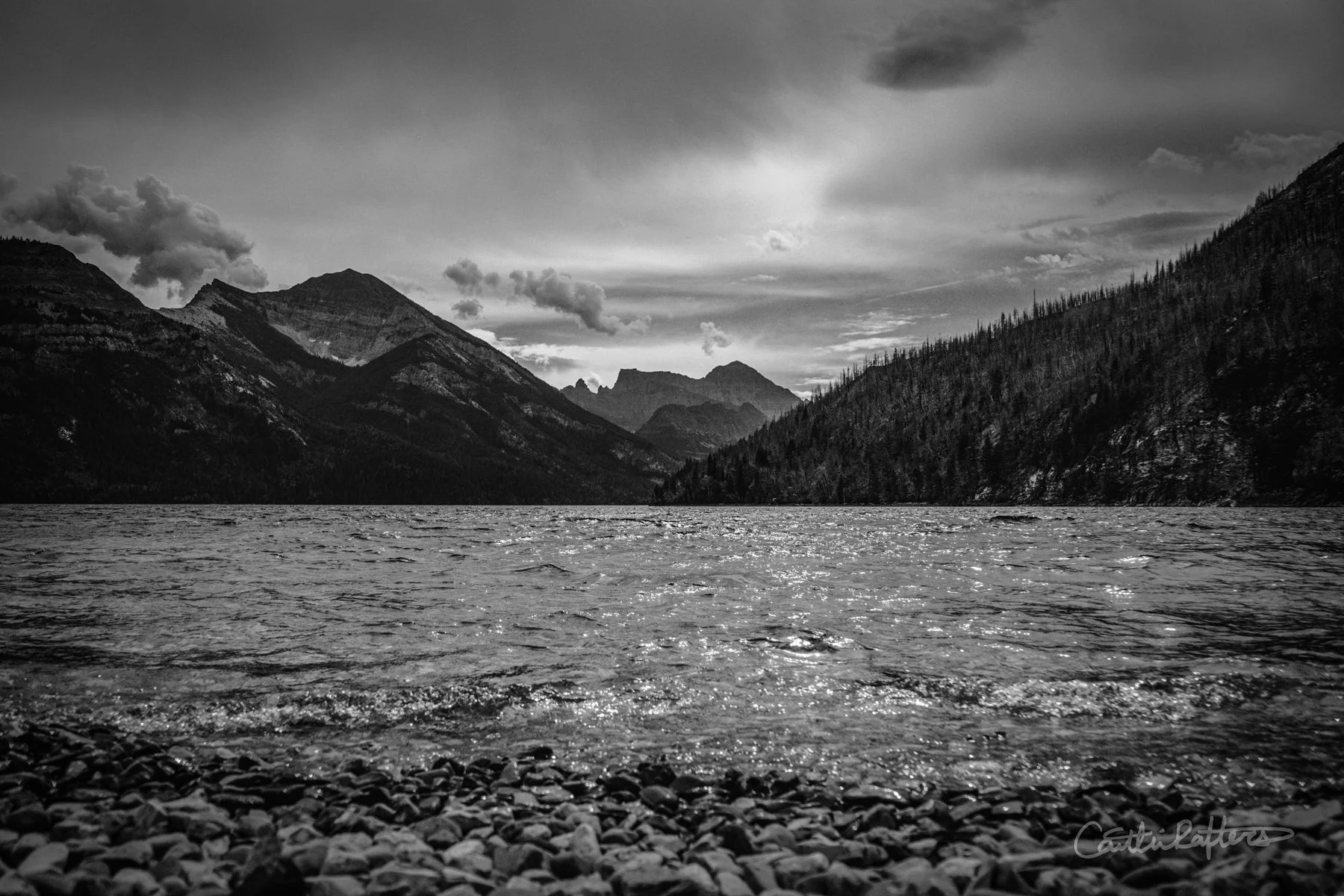 DSC09453 copy_BW.jpg