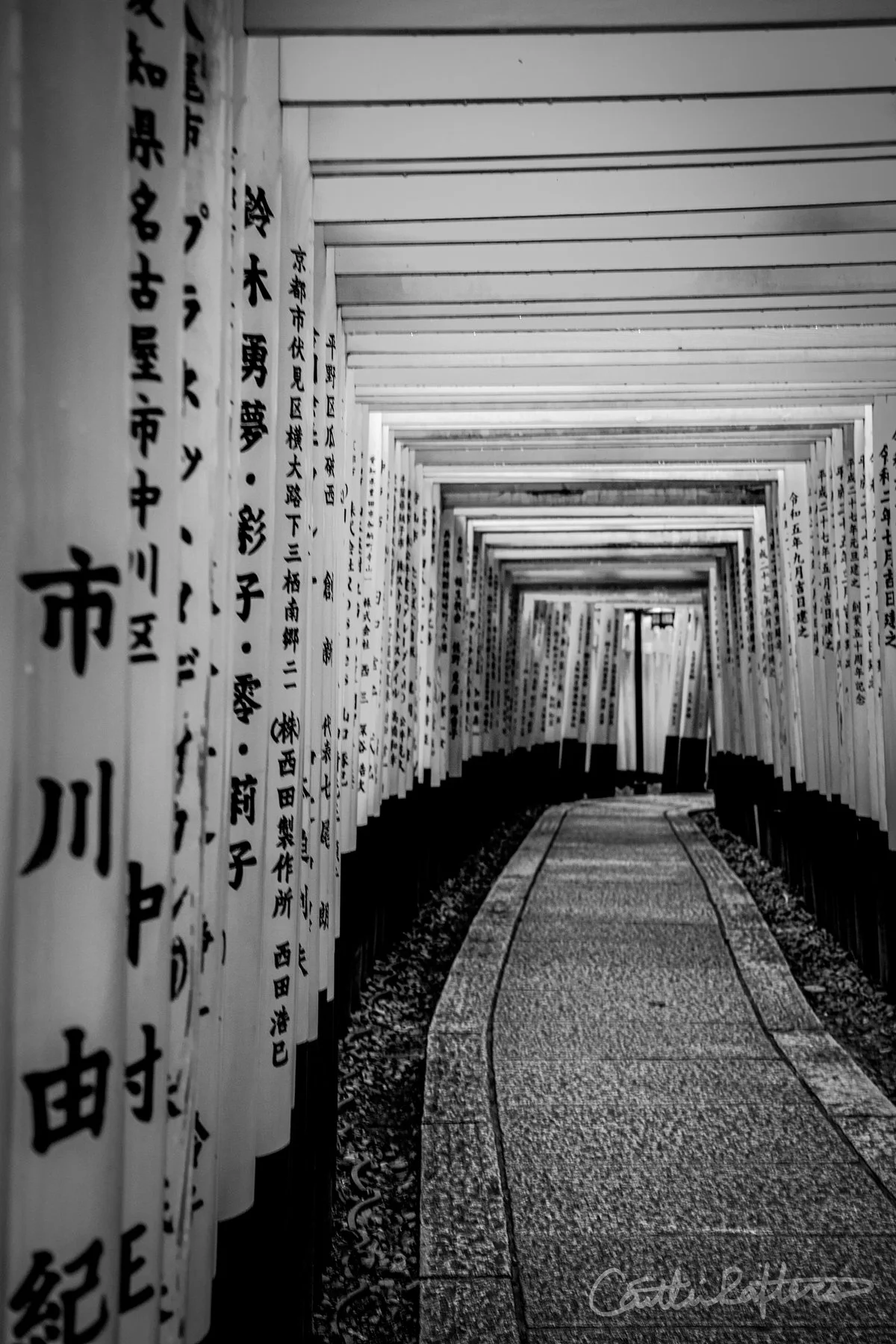 Beyond the Gate_BW.jpg