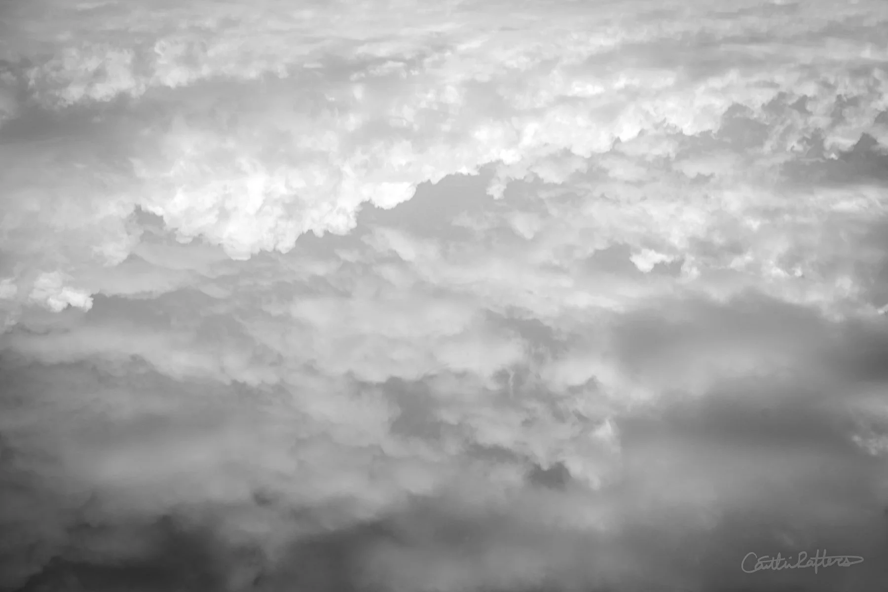 DSC02213 copy_BW.jpg