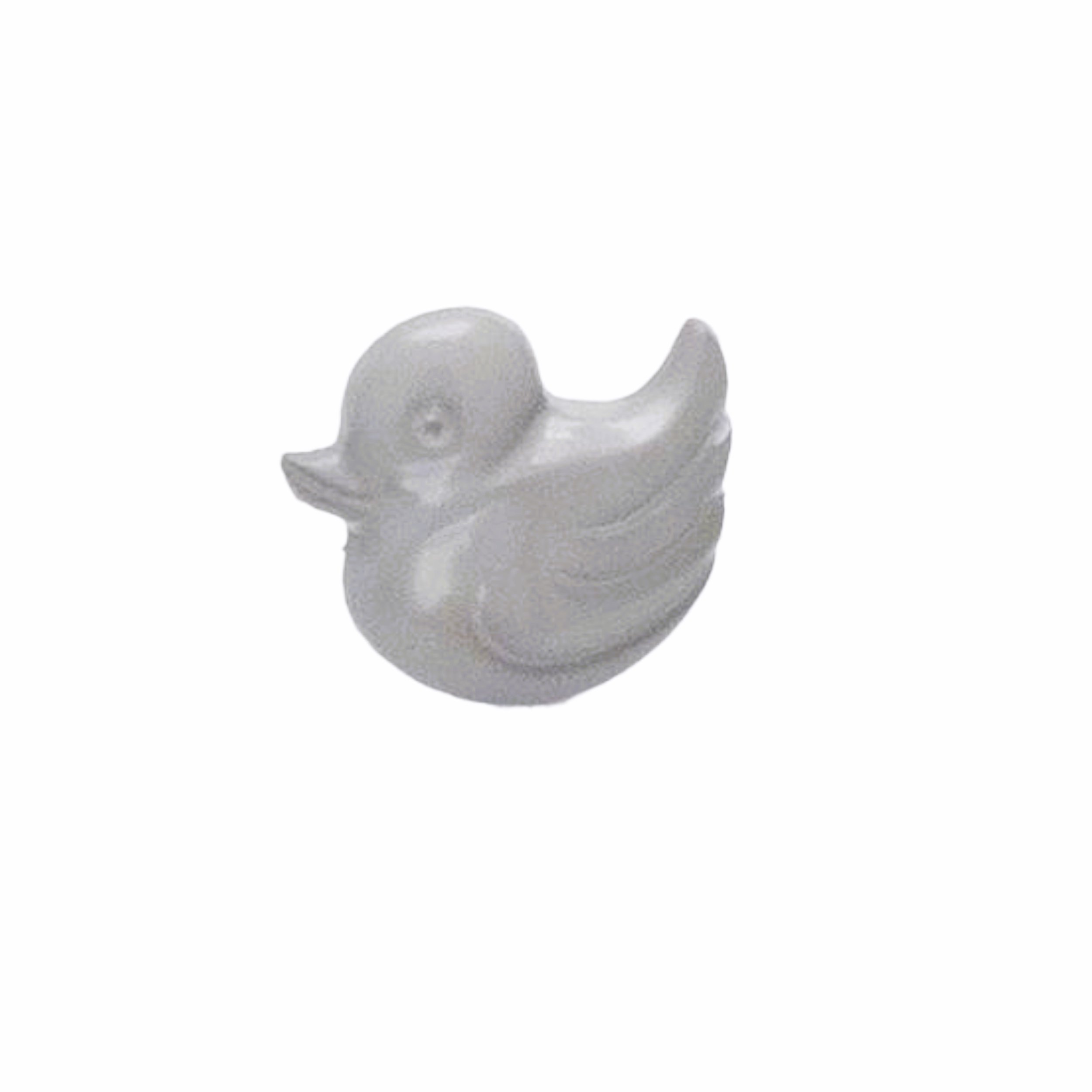 GREY DUCK.jpeg