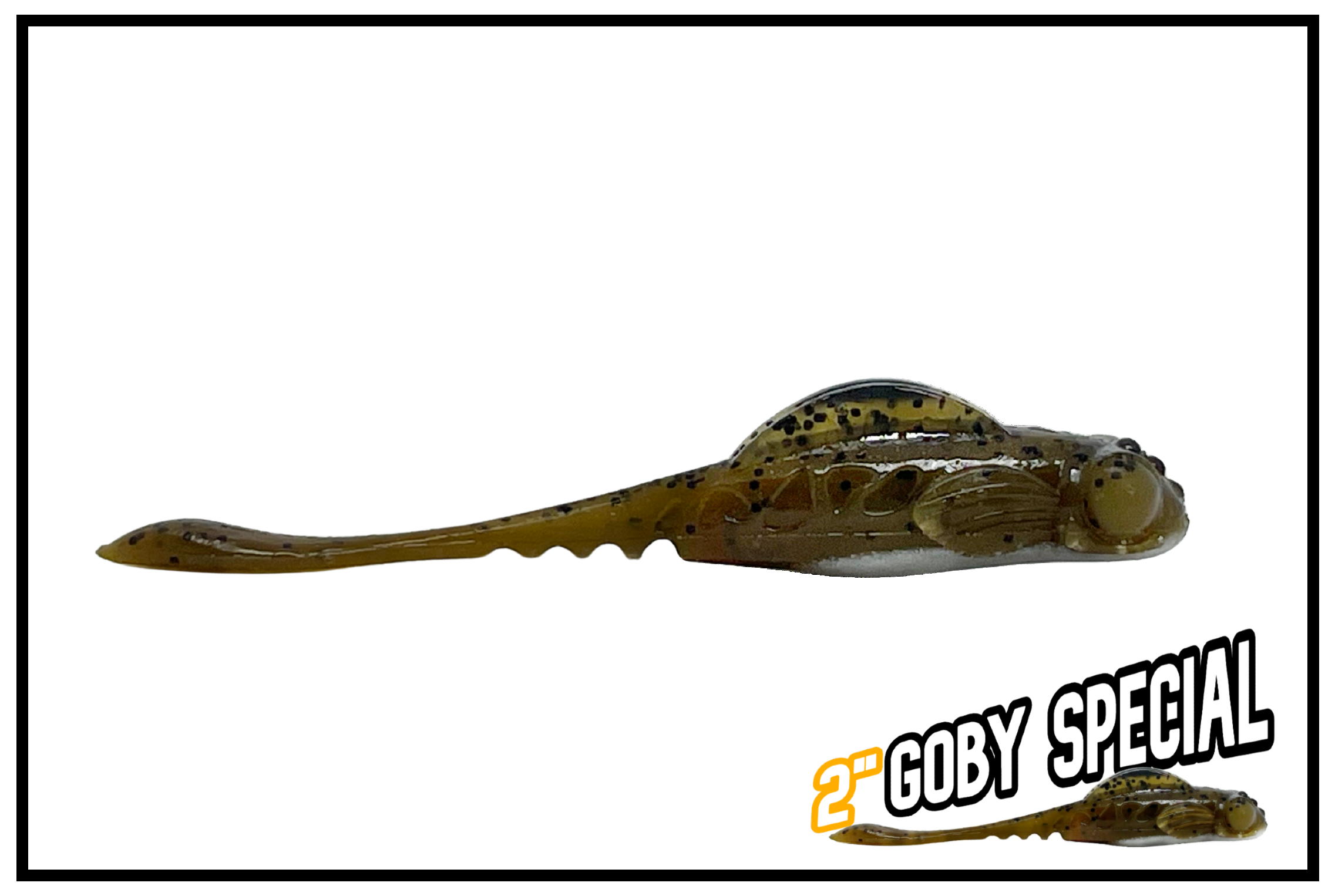2in goby special photo 1 website.png
