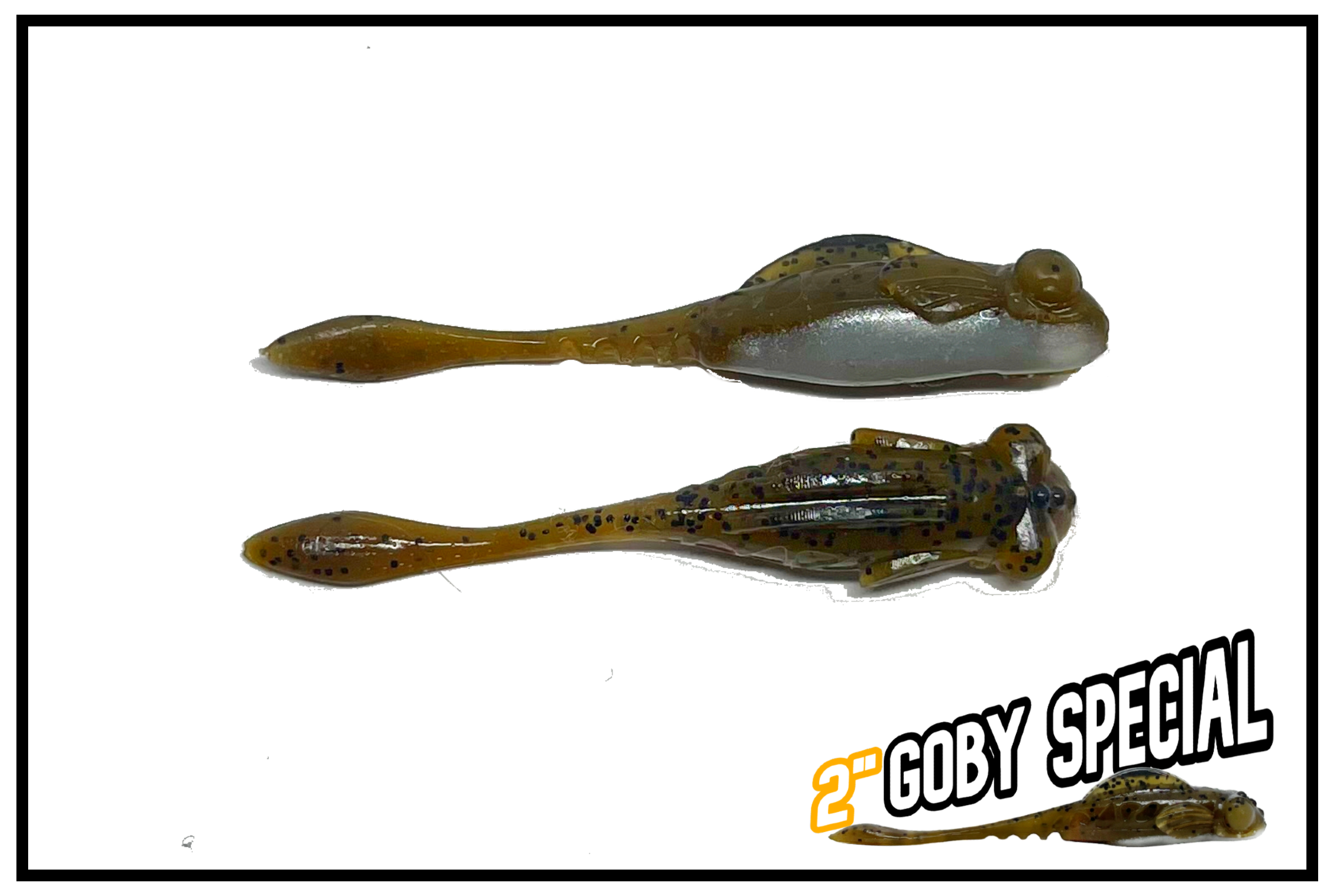2in goby special photo 2 website.png
