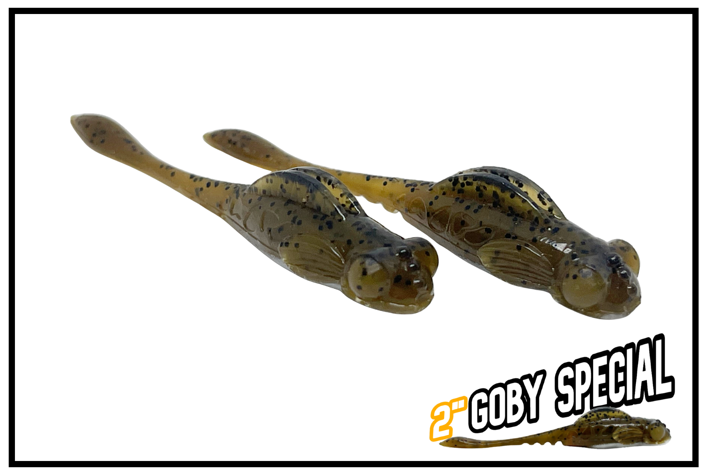 2in goby special photo 3 website.png