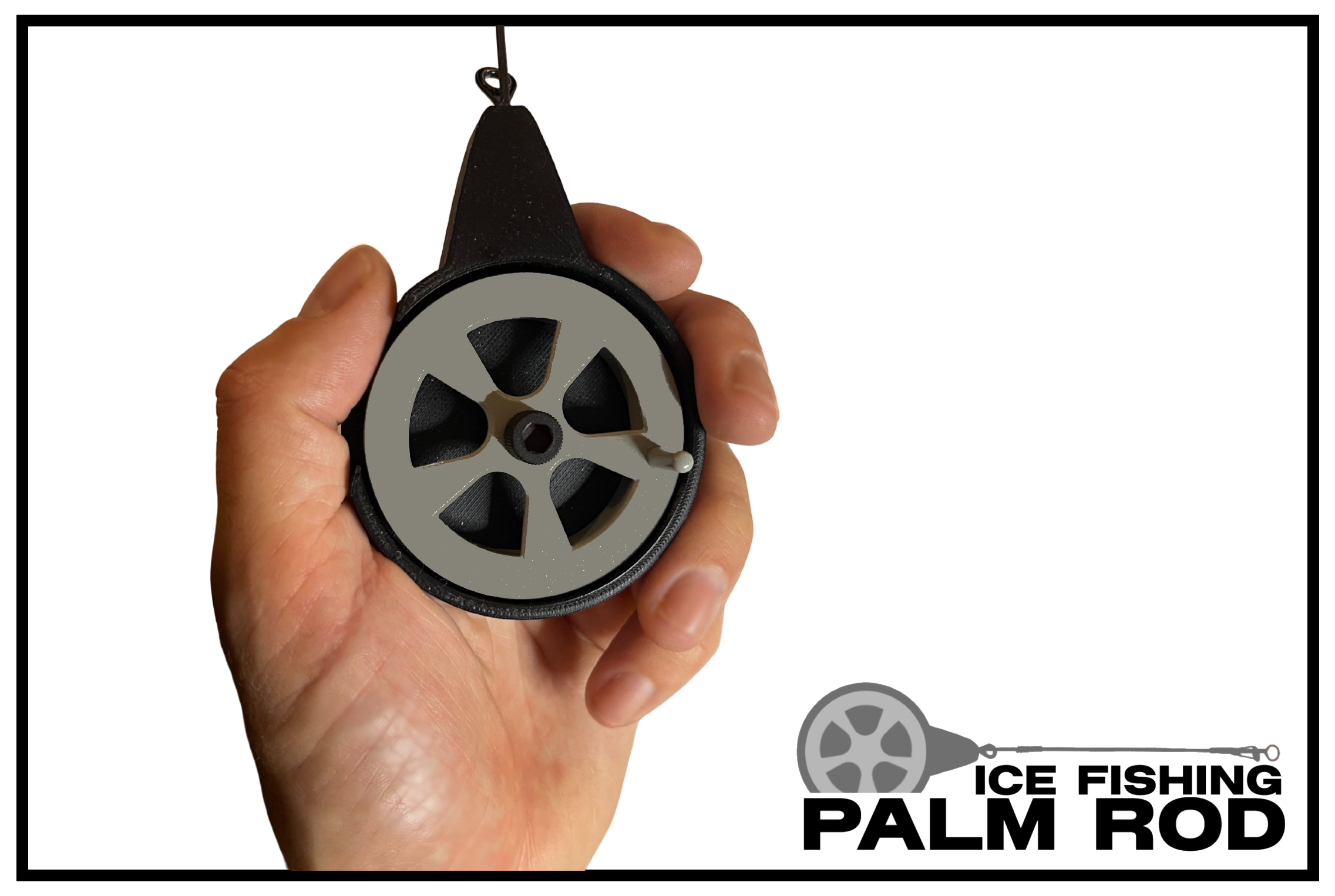 Palm rod image 3 website.png