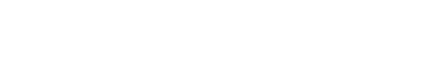 JUNCTION