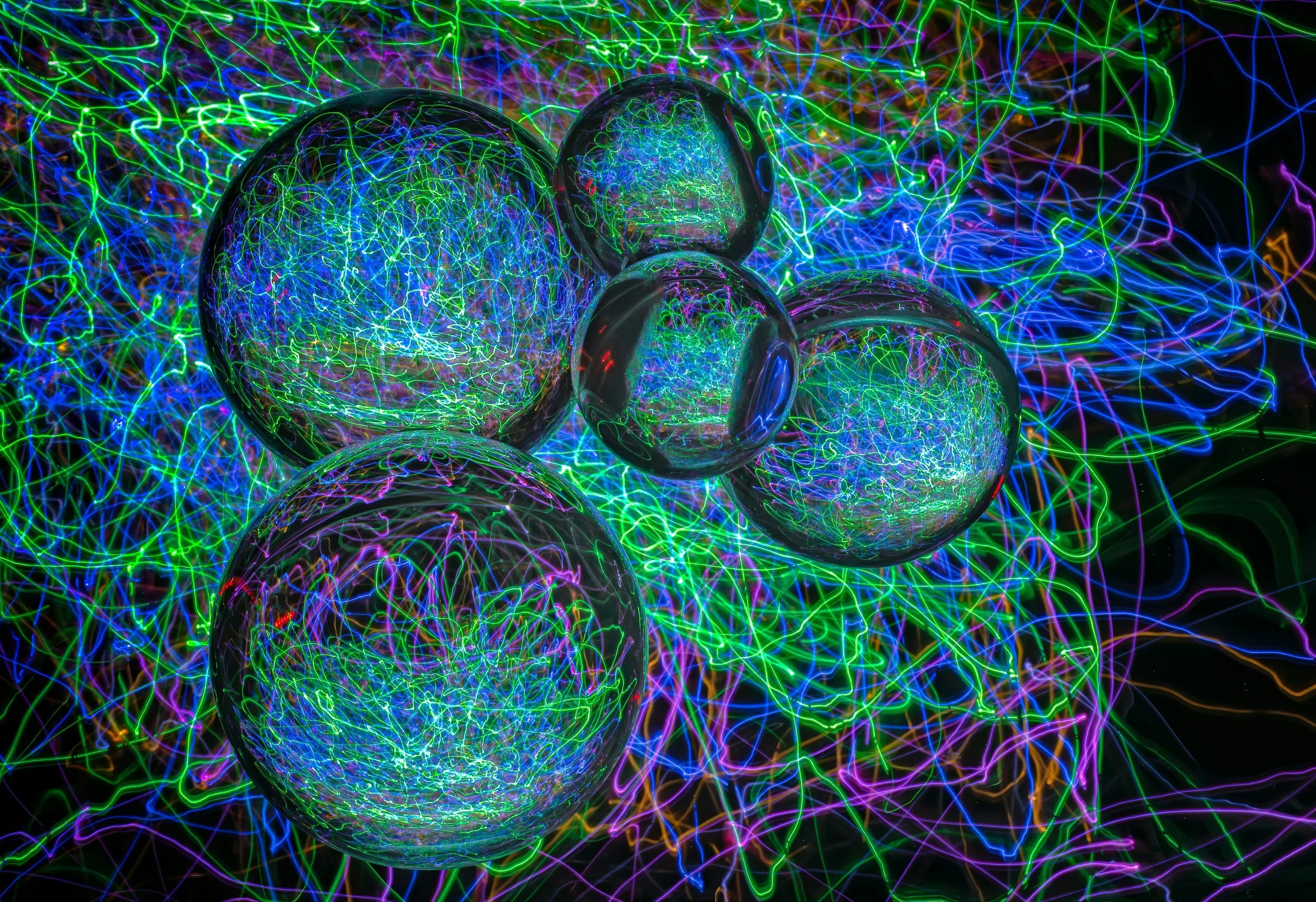 Regenerative Veterinary Medicine: How It Helps Your Pet Heal Naturally