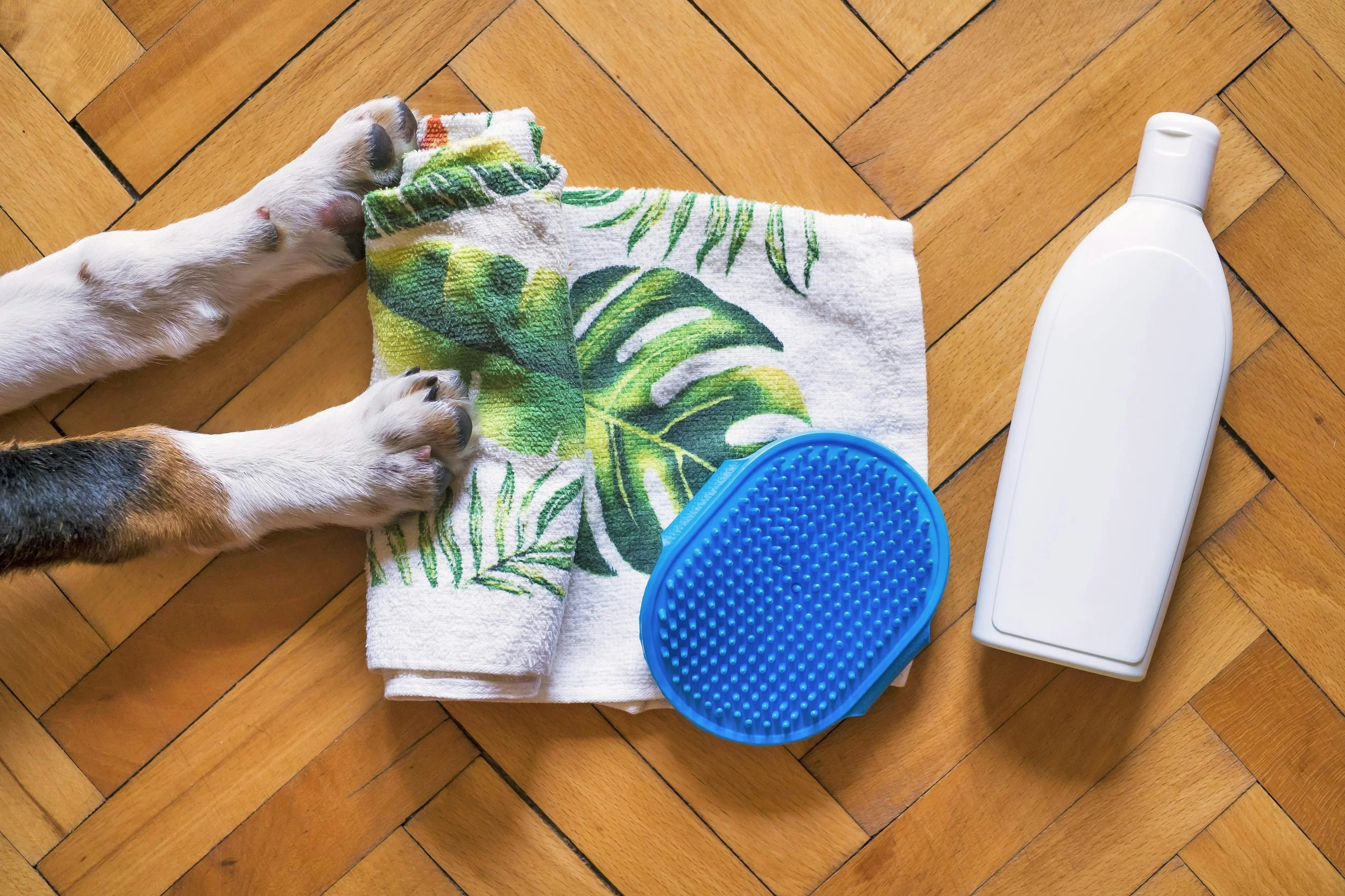 Natural Pet Grooming Products