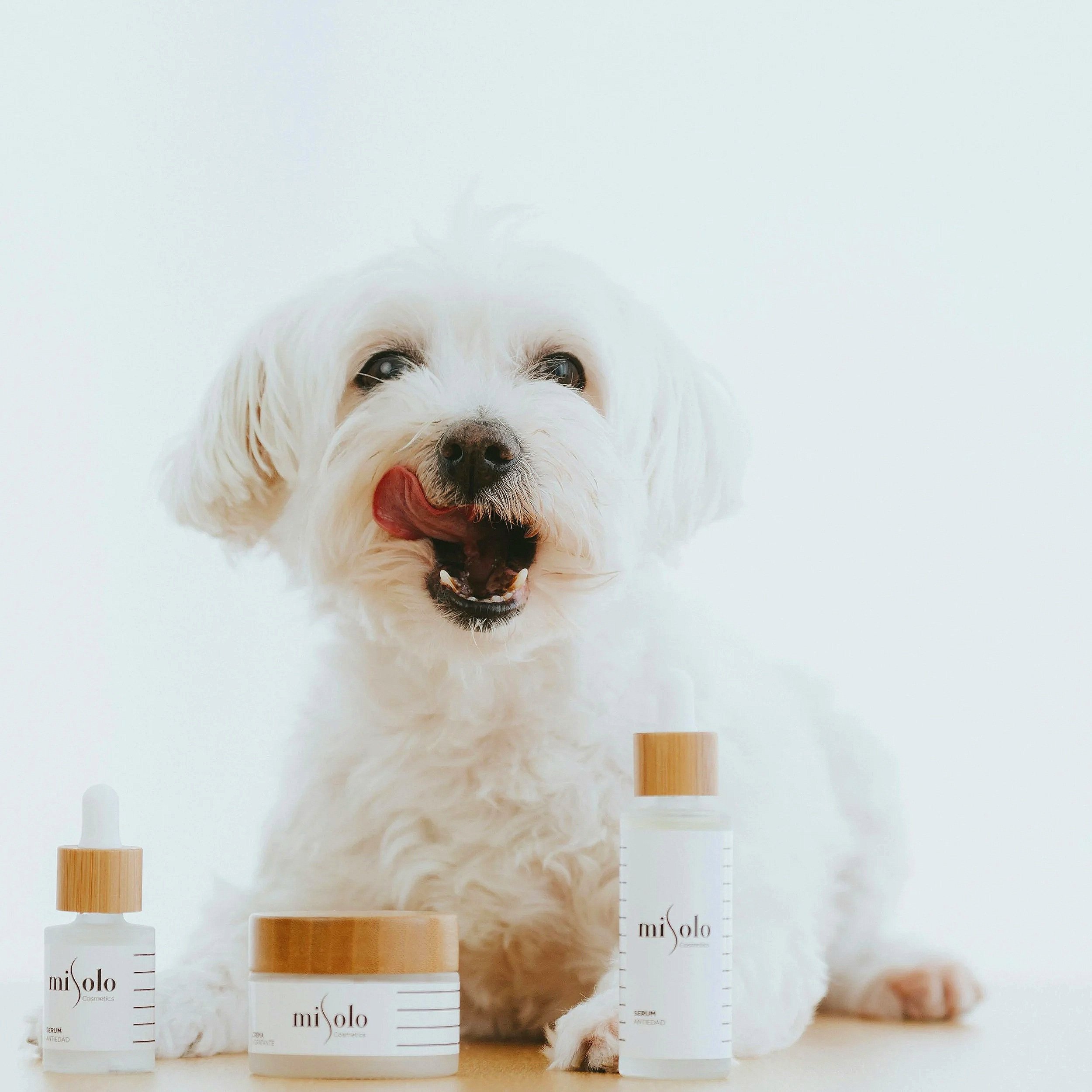 pexels-misolo-cosmetic-2588316-4841264.jpg