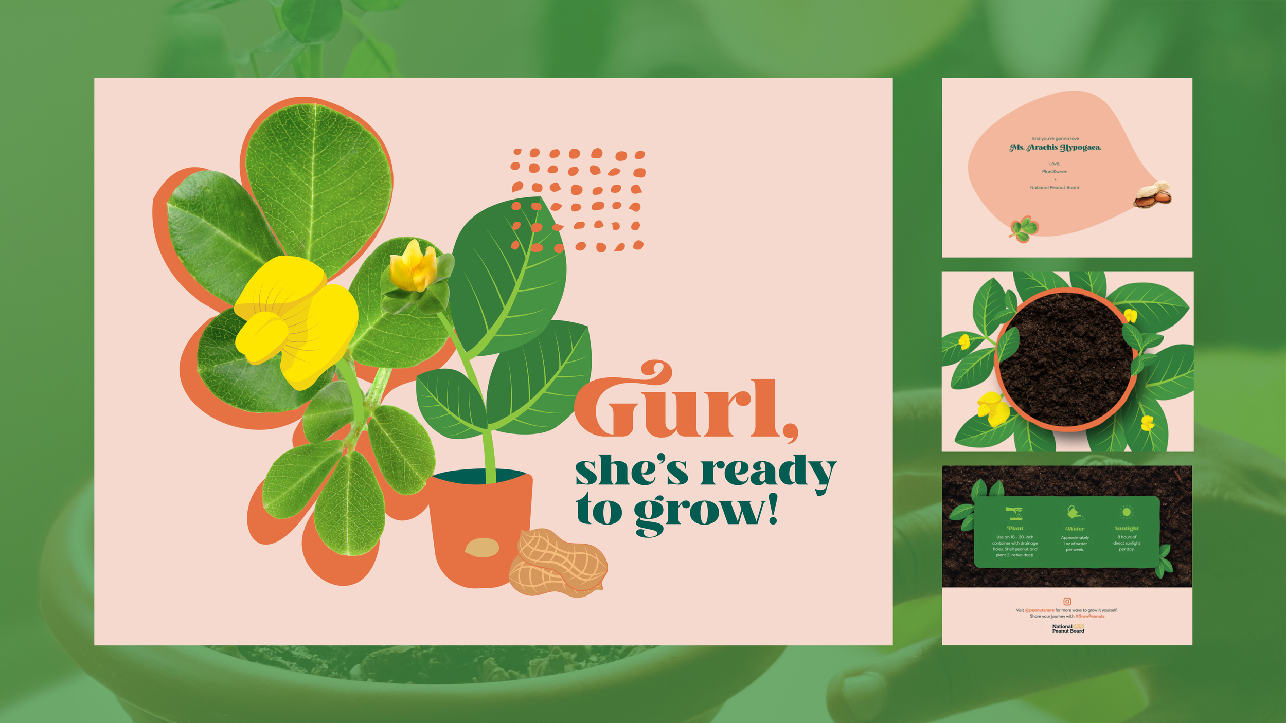 giy_gurl.png