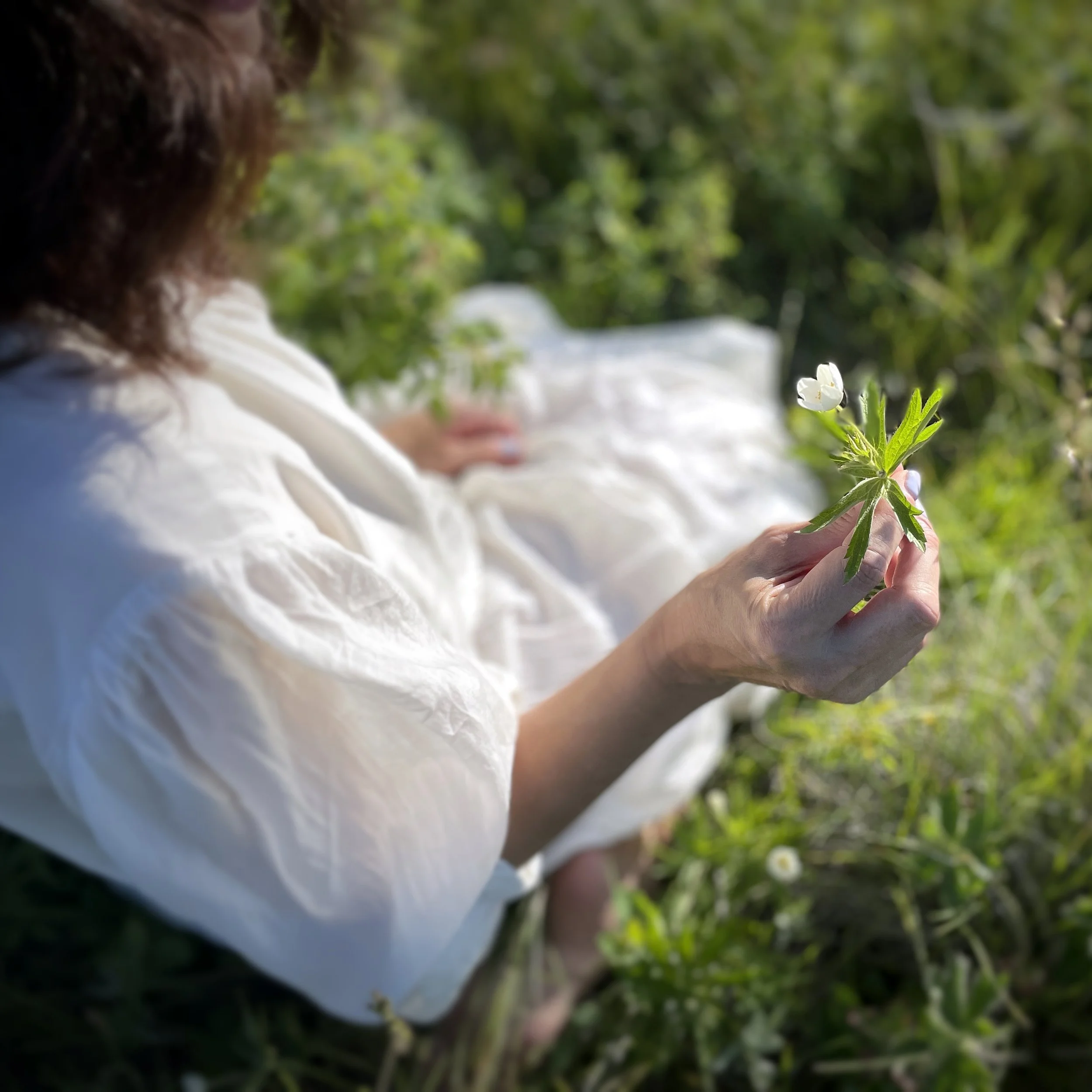 Victoria Brady in a white dress sitting in a green field holding a white flower.
