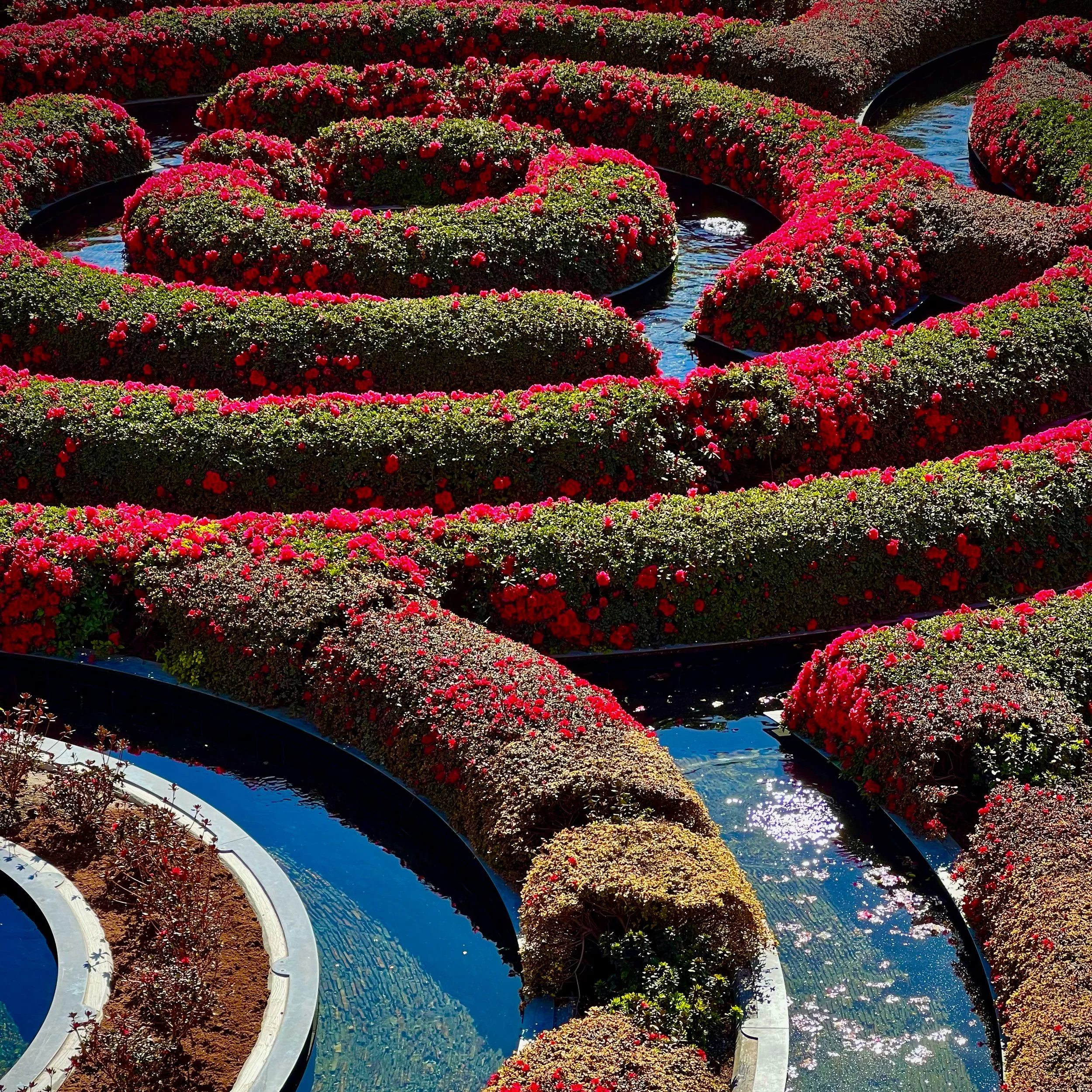 Perspective as Practice