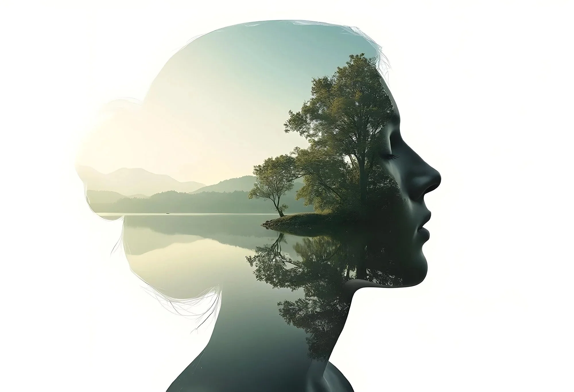 Sadhana - A Guide to Daily Spiritual Practice