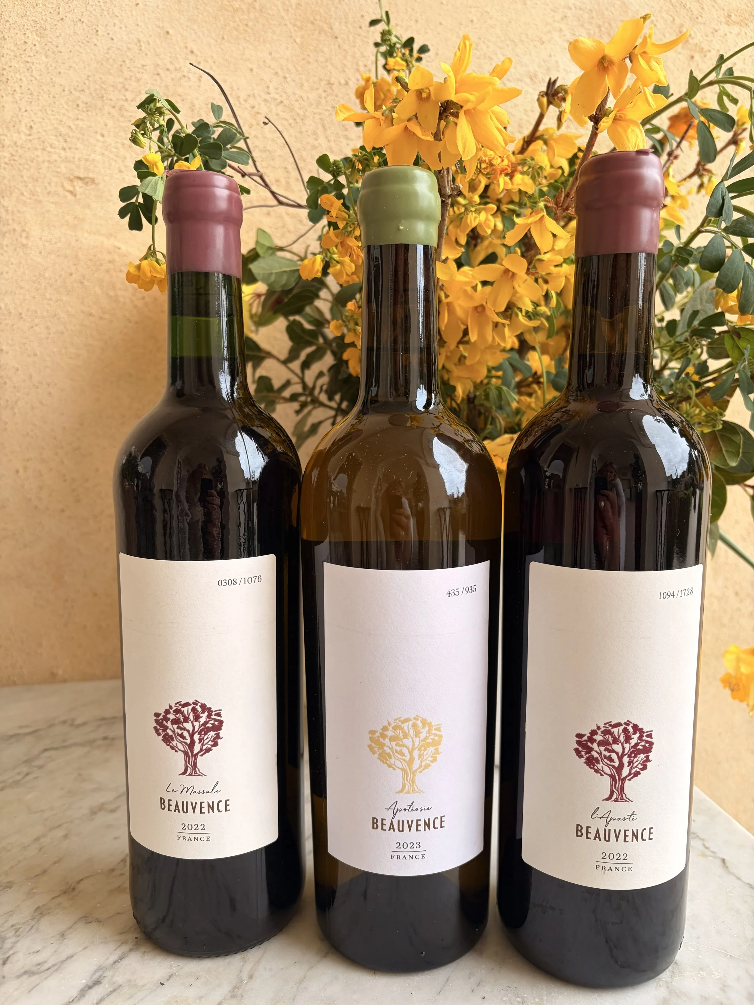 LA SOIRÉE DU VIGNERON 9 avril 