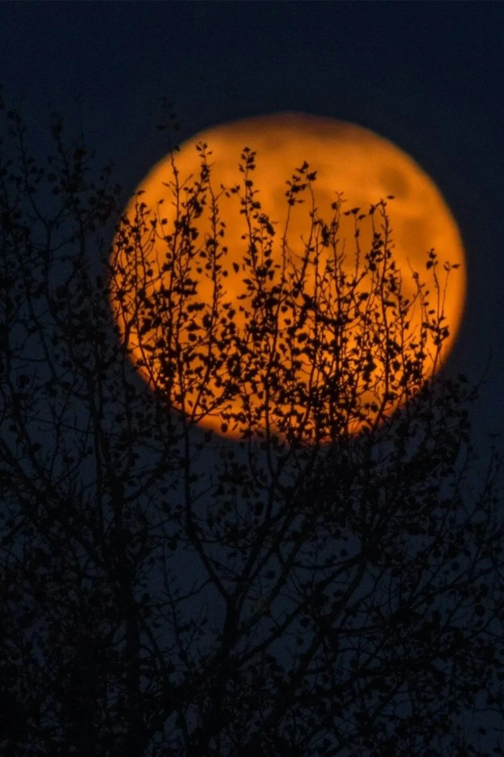 Journée Halloween 