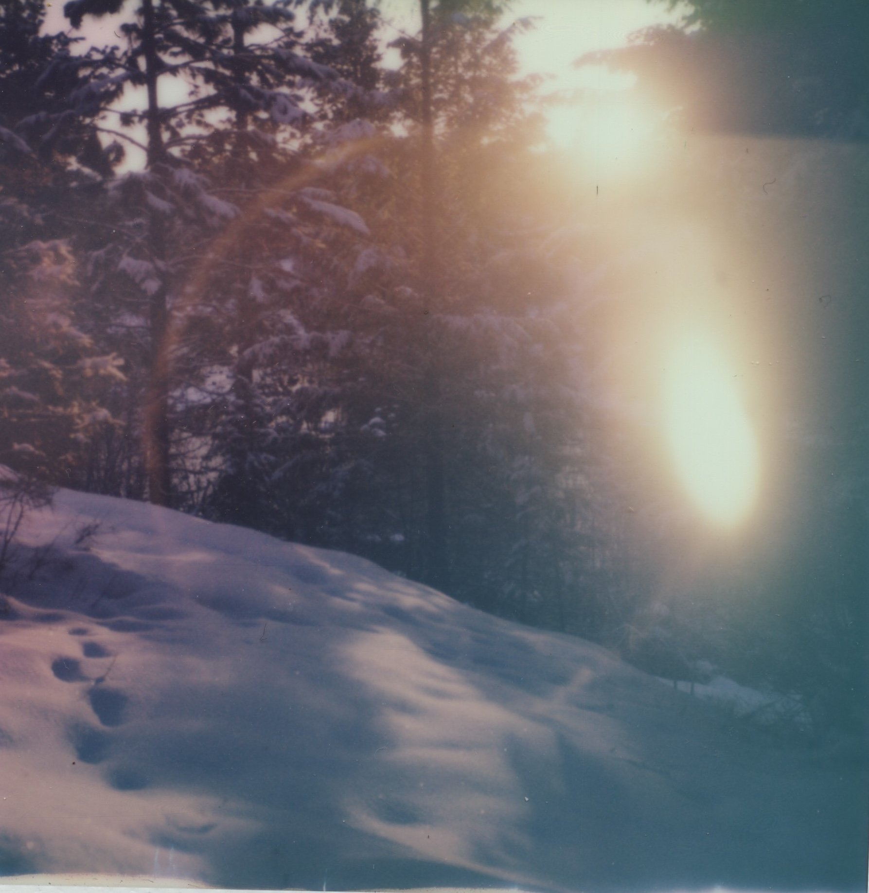 l'hiver20.jpeg
