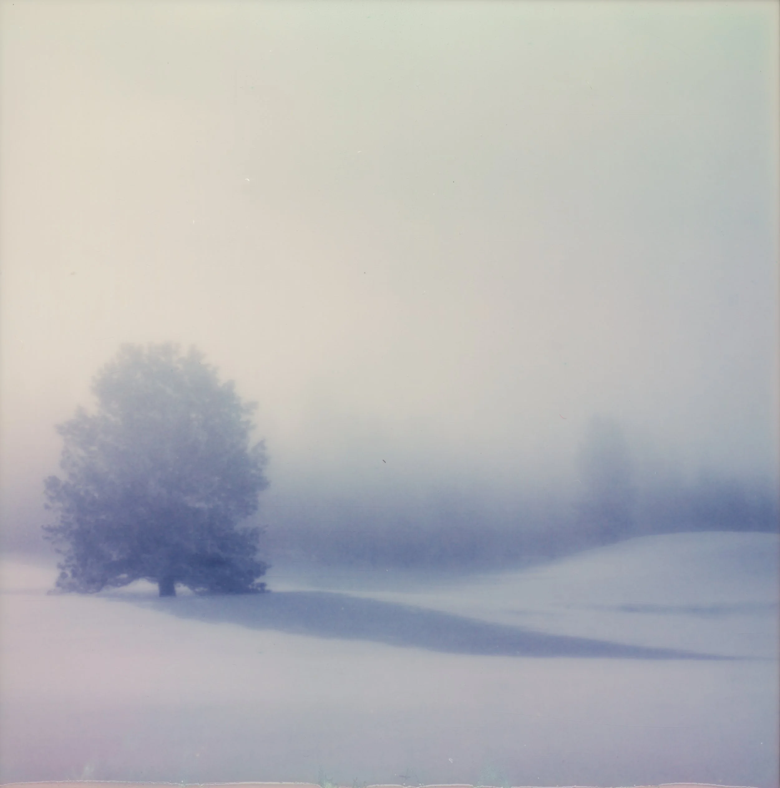 EndlessWinter 2.jpeg
