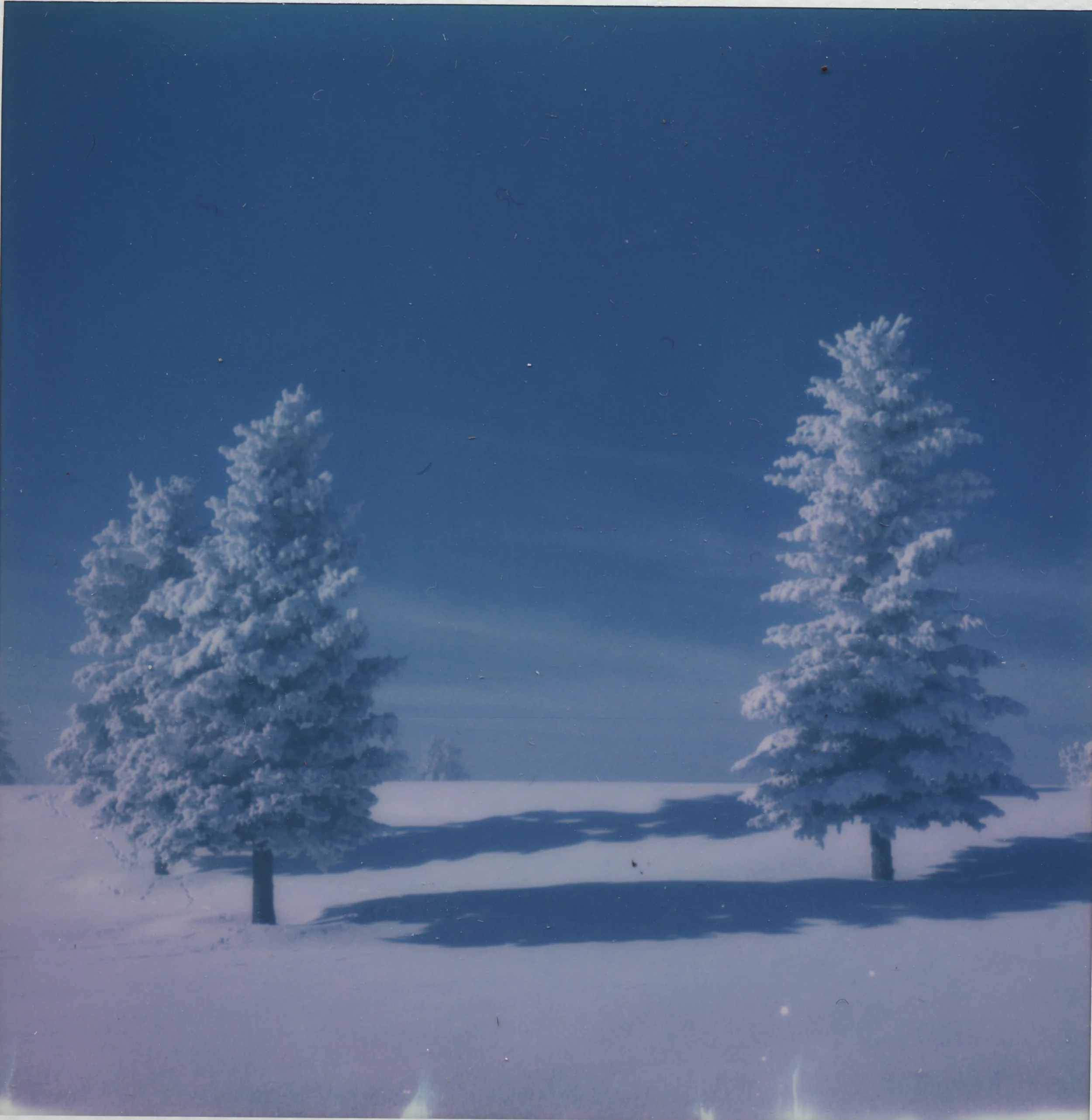 L'hiver copy.jpg