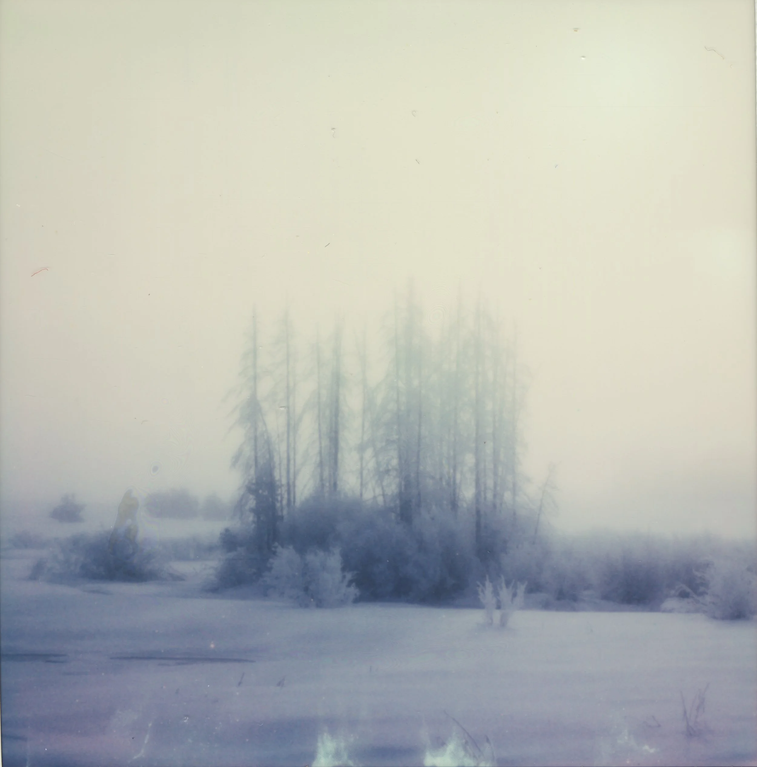endlesswinterdreams.jpeg