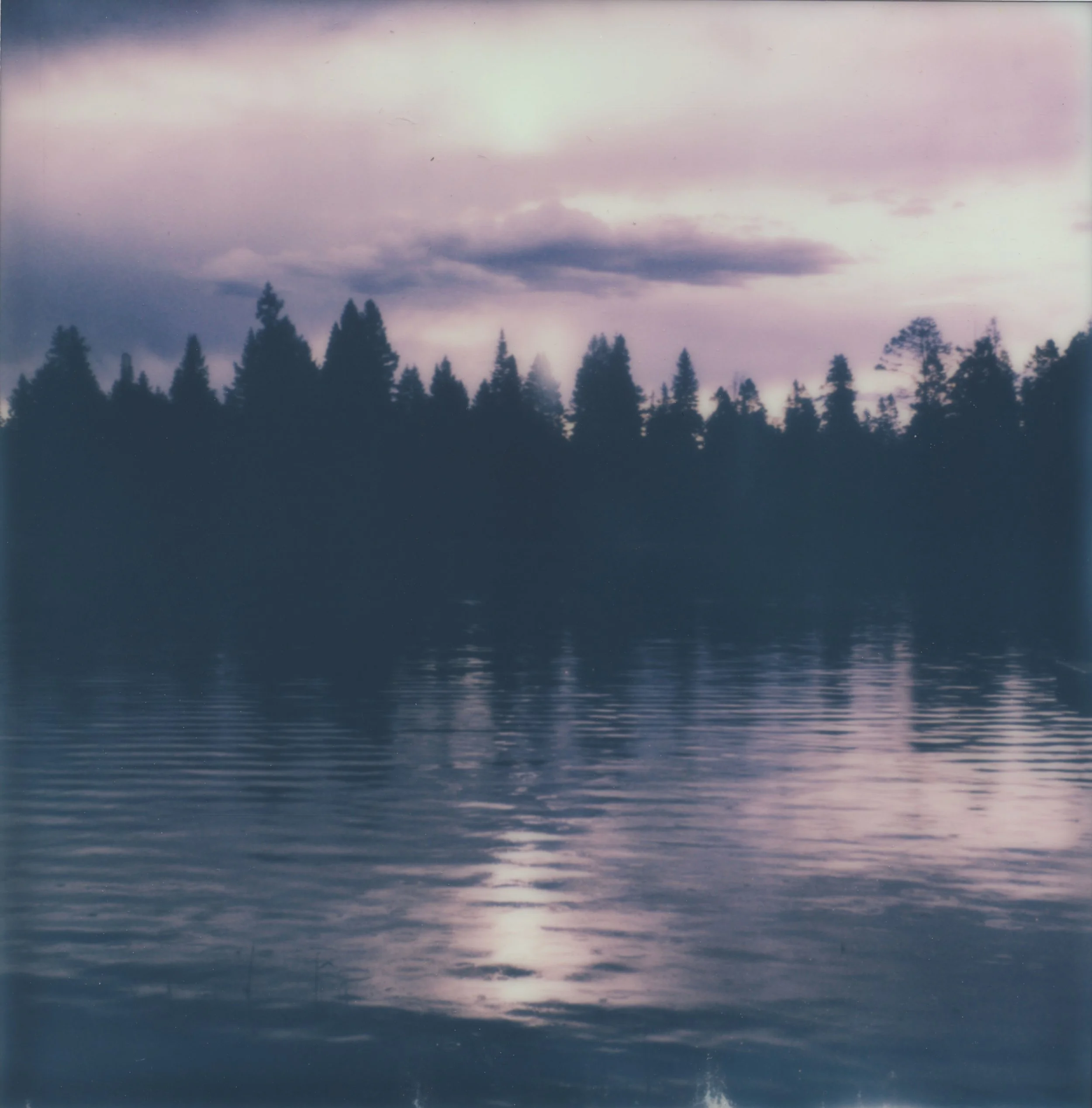 Alderfer_Bonnie_PurpleMornings.jpg