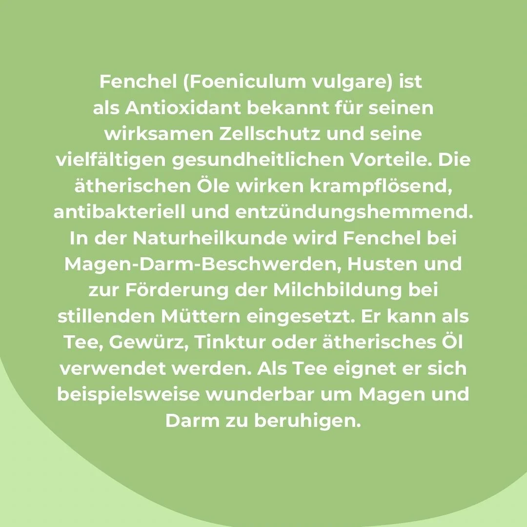 Wusstest du, das Fenchel doppelt soviel Vitamin C enth&auml;lt wie eine Orange?

#kr&auml;uterkunde #kr&auml;utertee #heilpflanzen