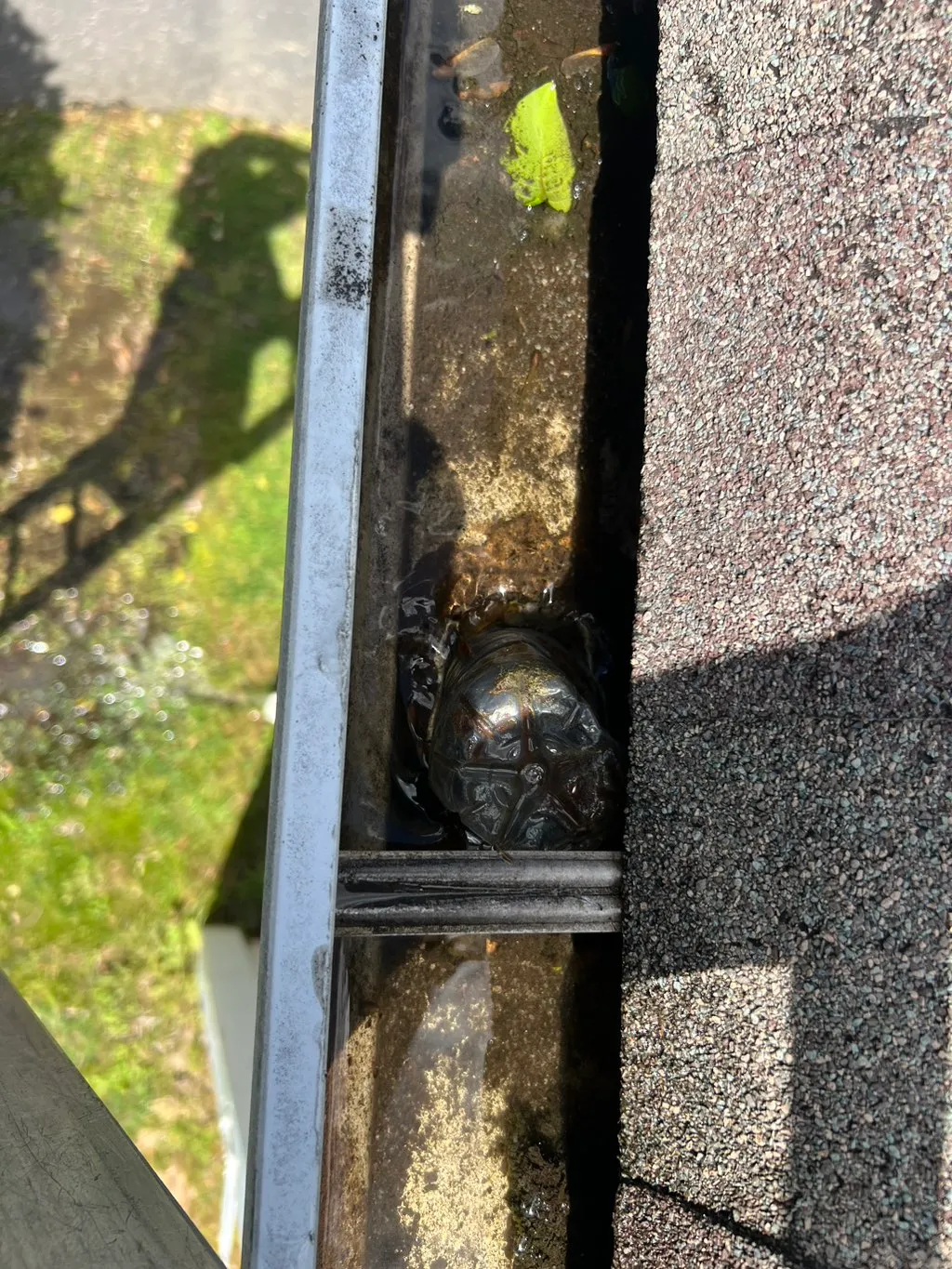 Dirty gutter with bottle