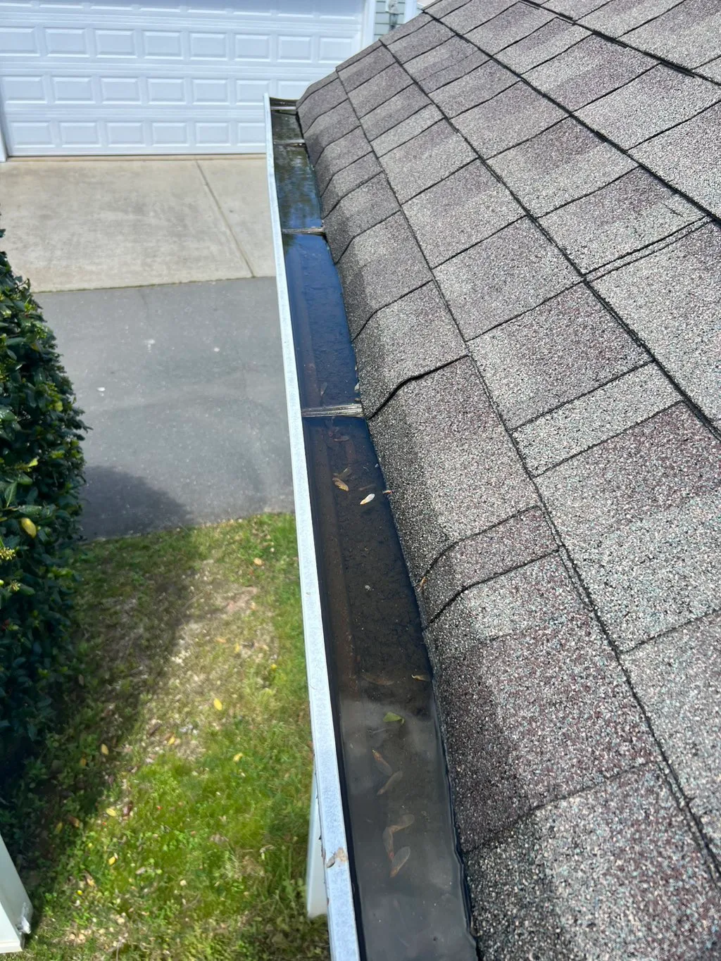 Dirty gutter with water