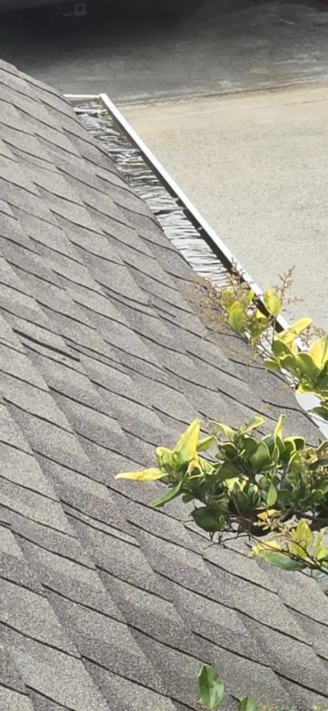 Dirty gutter with leaves and water