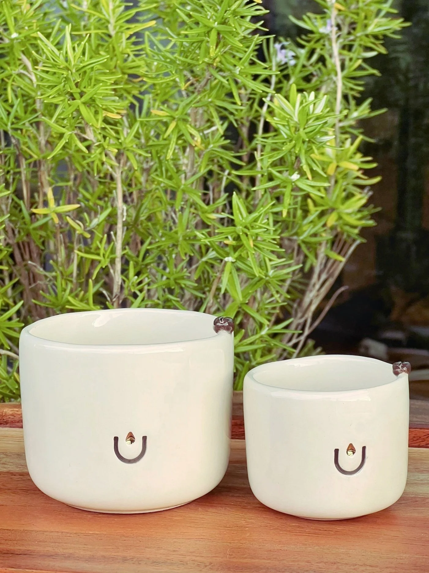 Cups Edition