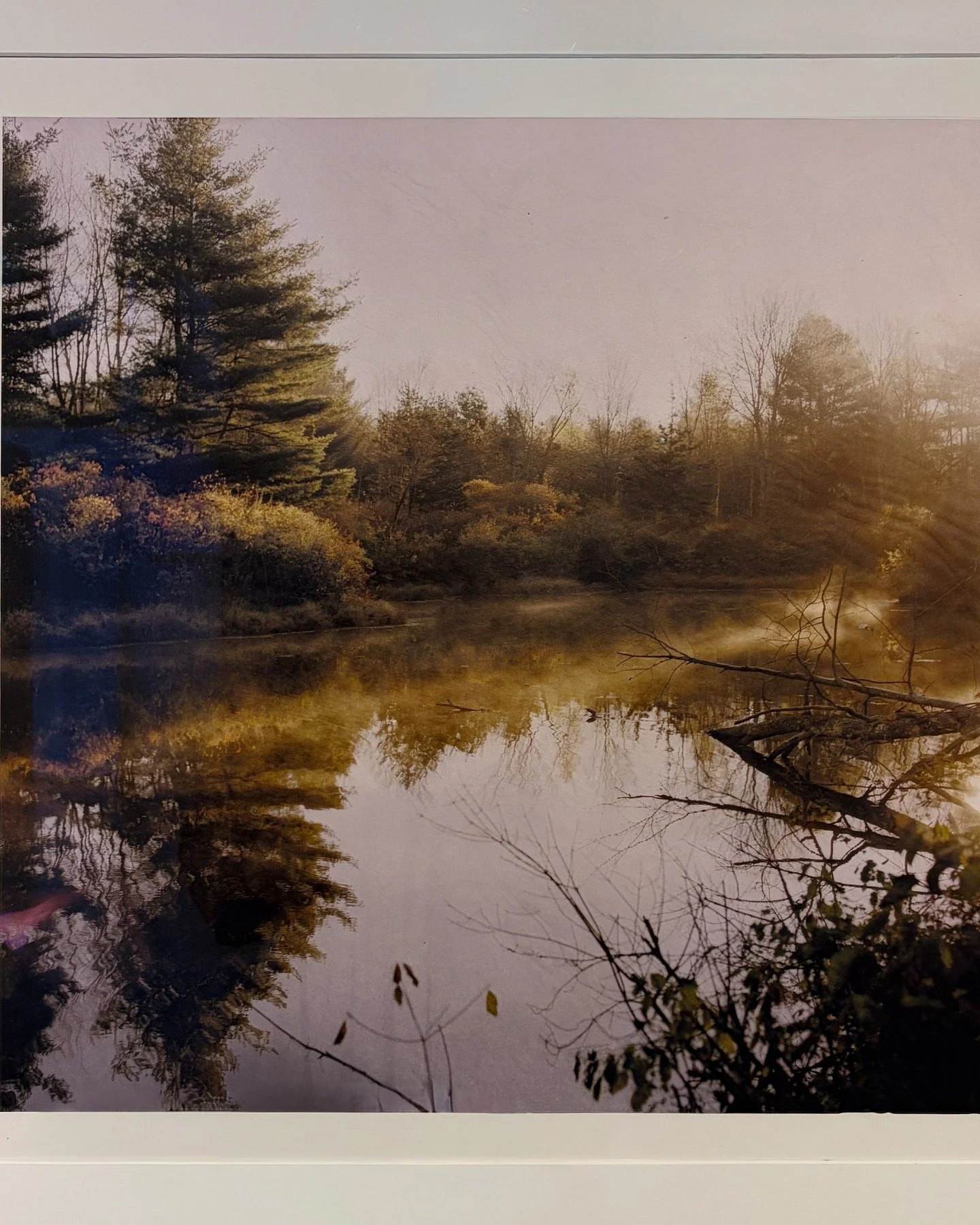 Take a peek at our second Division III exhibition of the Spring! Visit the Gallery tomorrow for the final day of the exhibition, and join us for a reception at 5 PM.

&mdash;

⧈ 1+5 - Detail image of work by Kelly Malone-Wolfsun
⧈ 2+6 - Detail image 