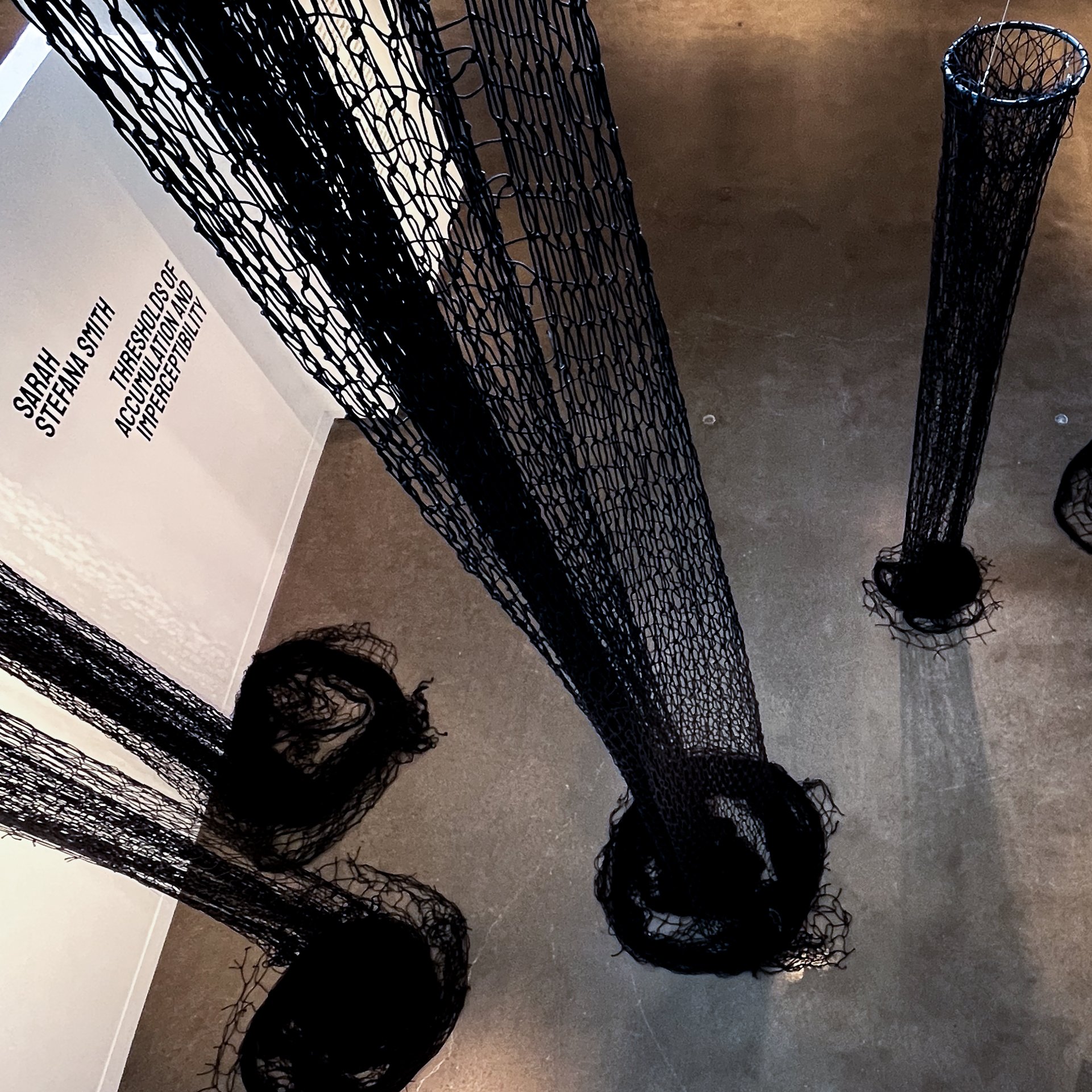Guided Gallery Tour: Sarah Stefana Smith