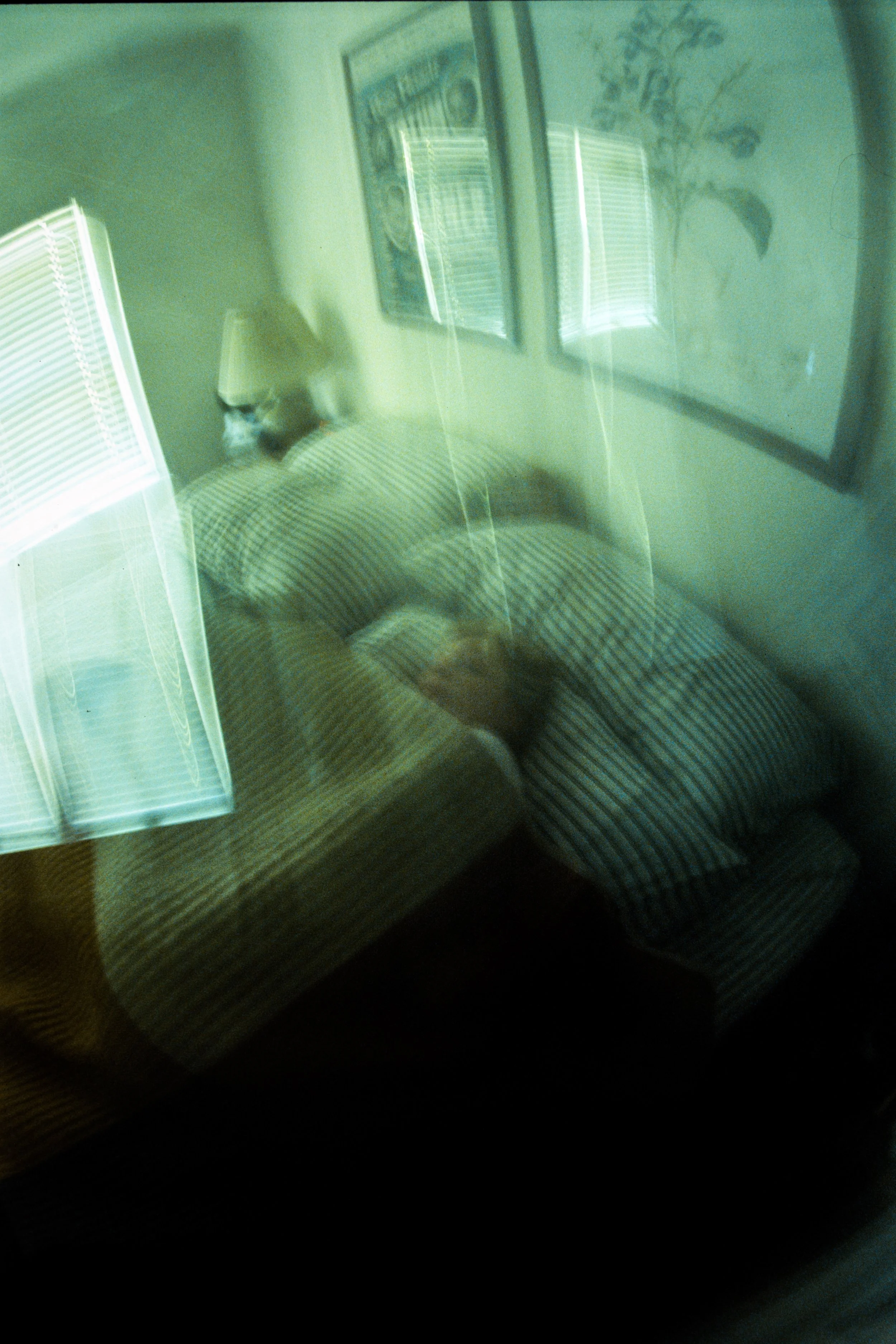 2382-32.jpg